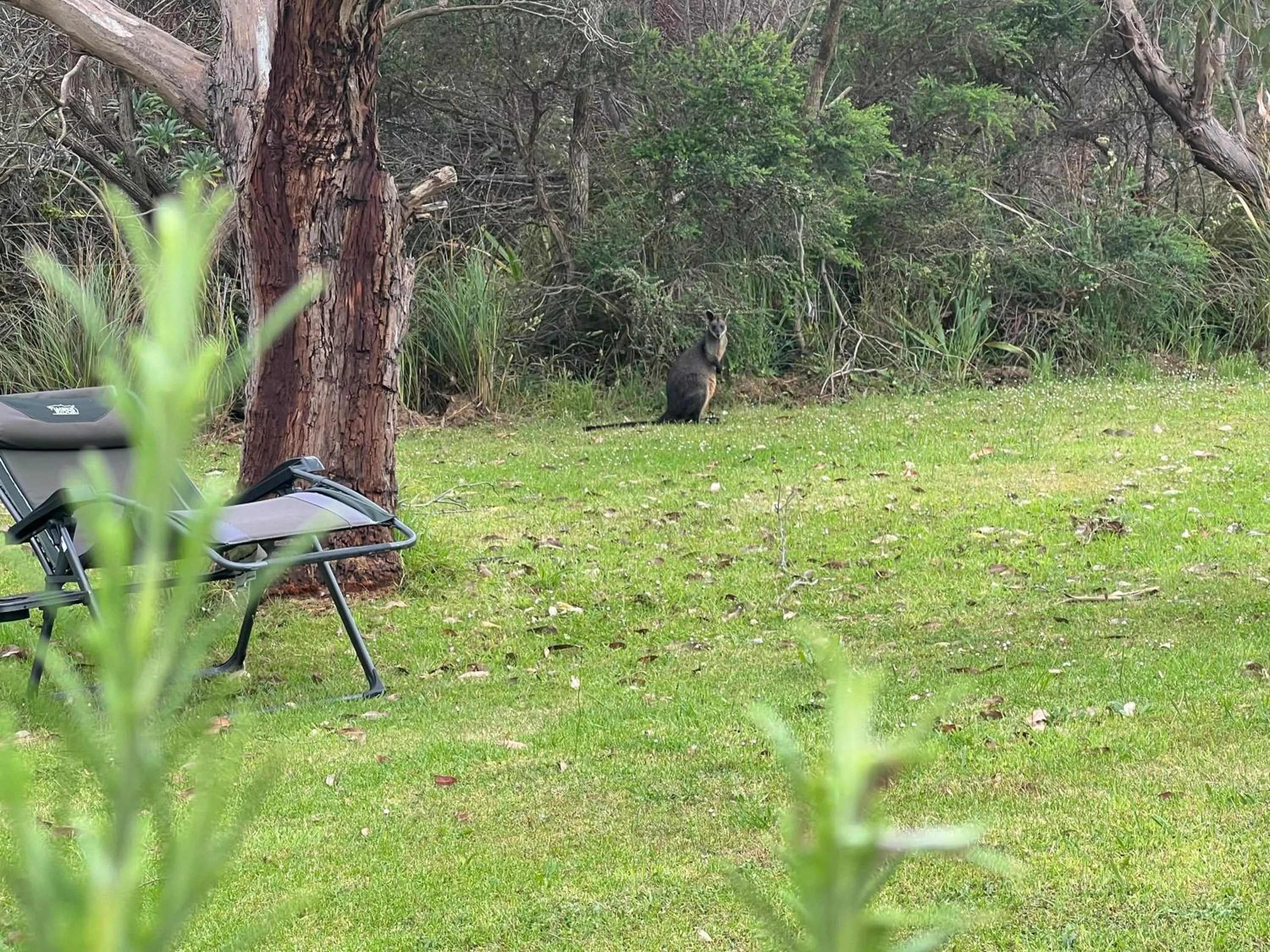 Port Campbell Motor Inn