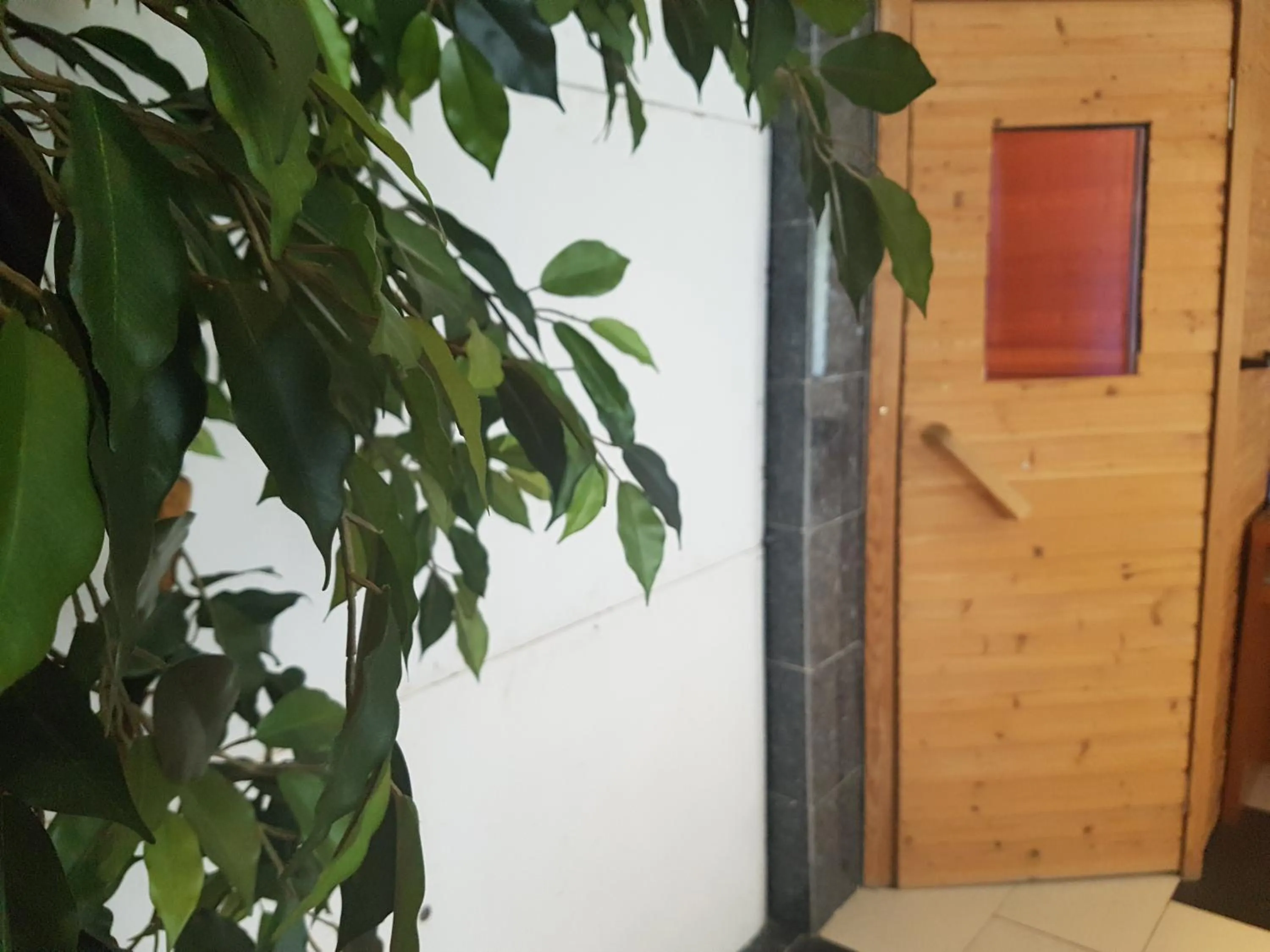 Sauna in Hotel Zur Engelsburg