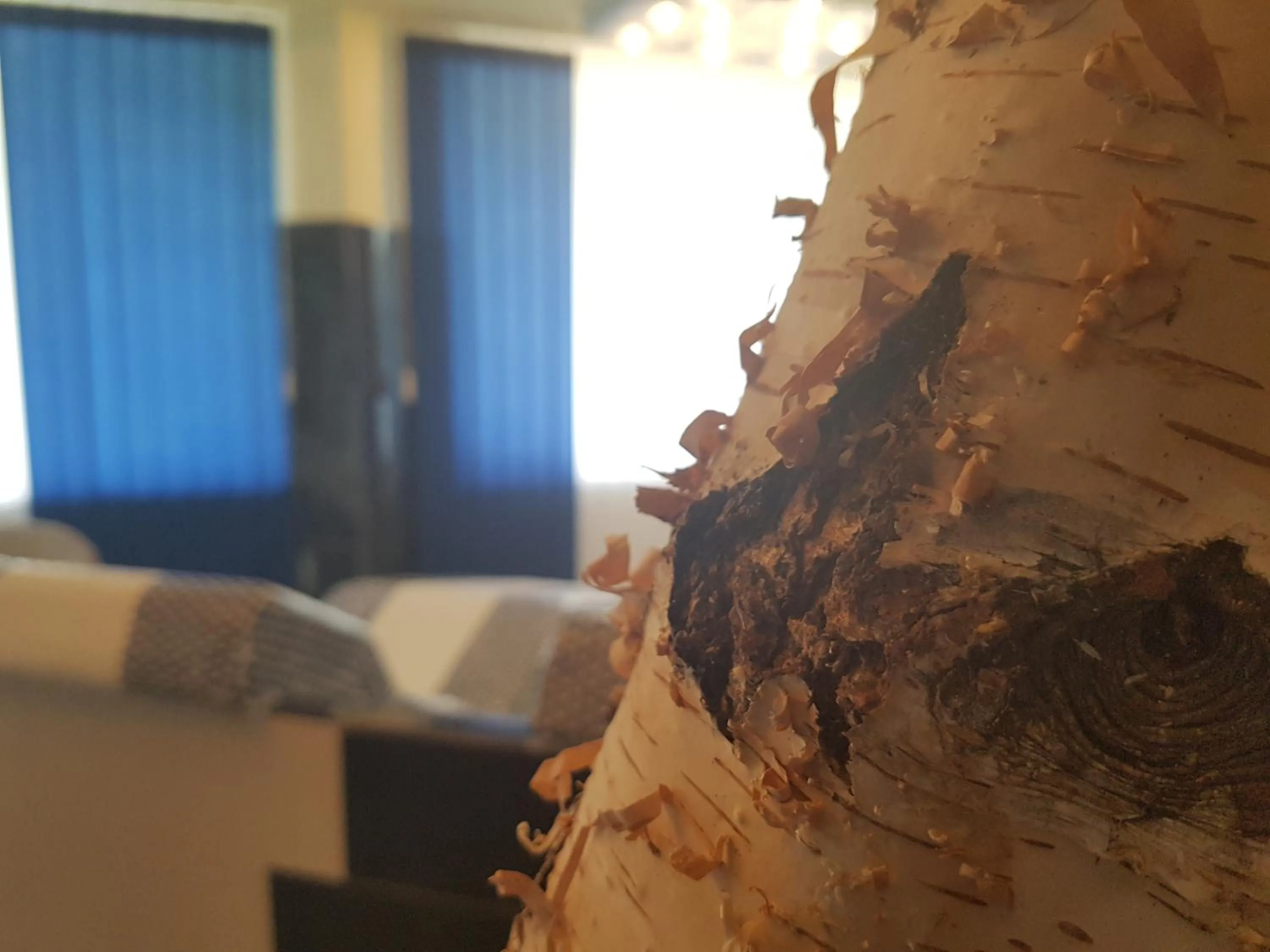 Sauna, Bed in Hotel Zur Engelsburg