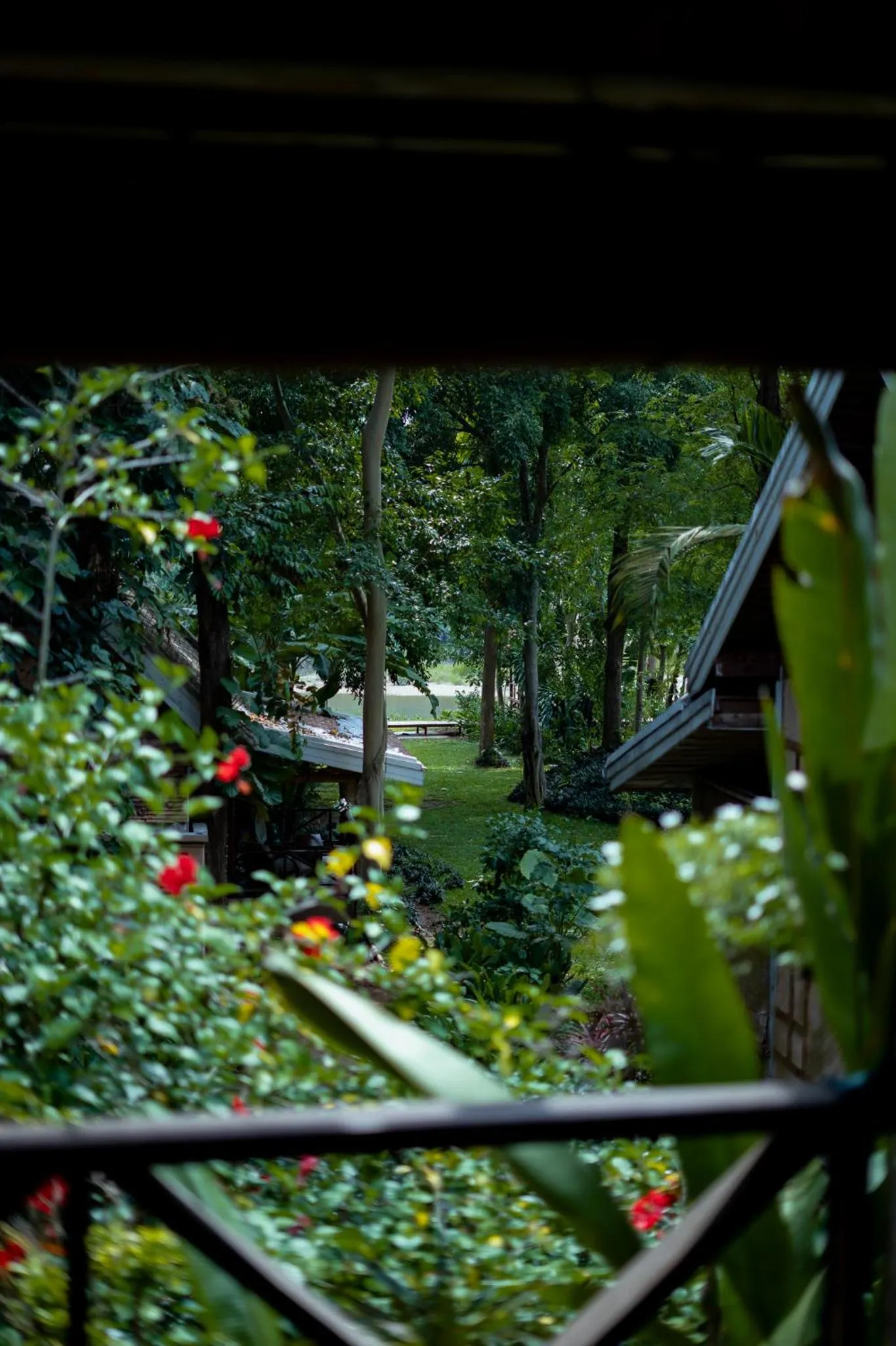 Garden view in My Dream Boutique Resort