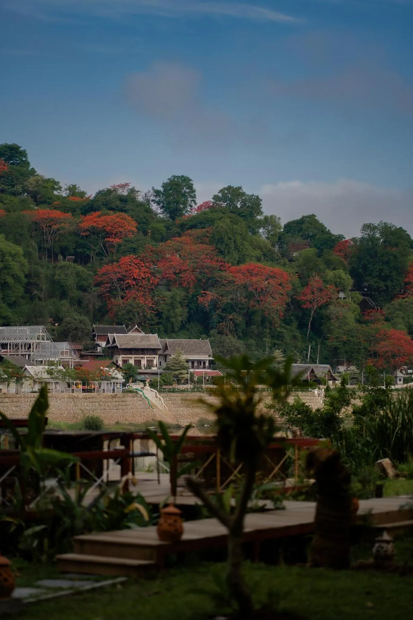 Garden in My Dream Boutique Resort