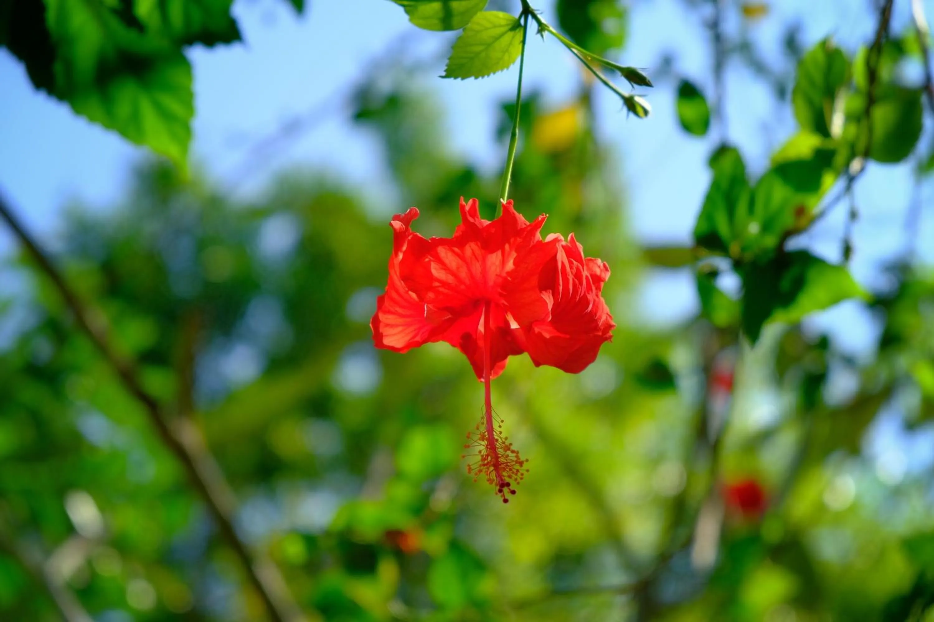 Property building in My Dream Boutique Resort