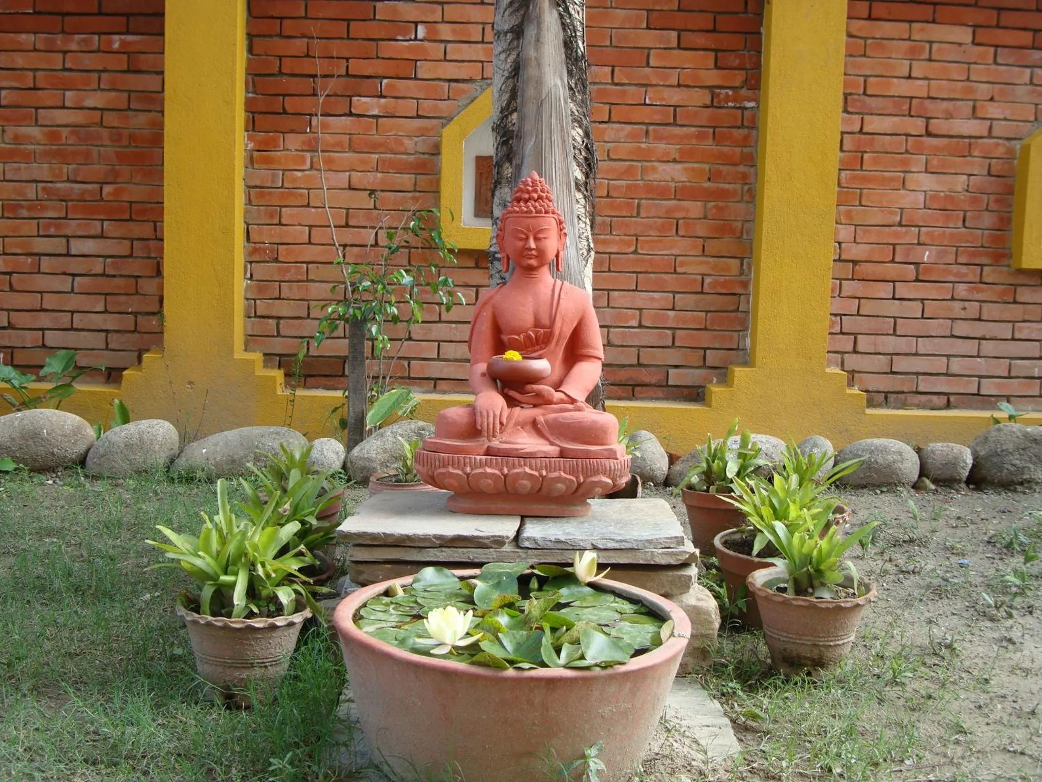 Garden in Royal Astoria Hotel