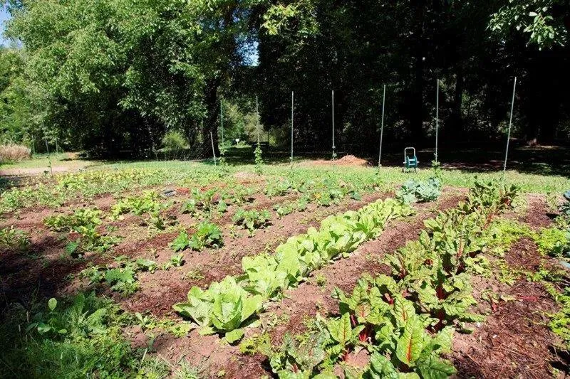 Day in Restaurant Niedmühle Land & Genuss Hotel