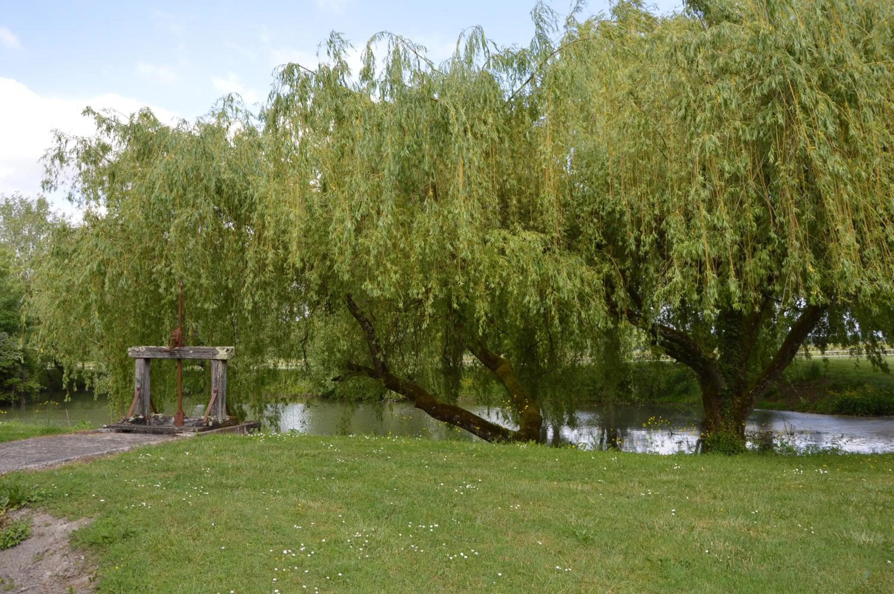 Garden in Logis Des Bessons