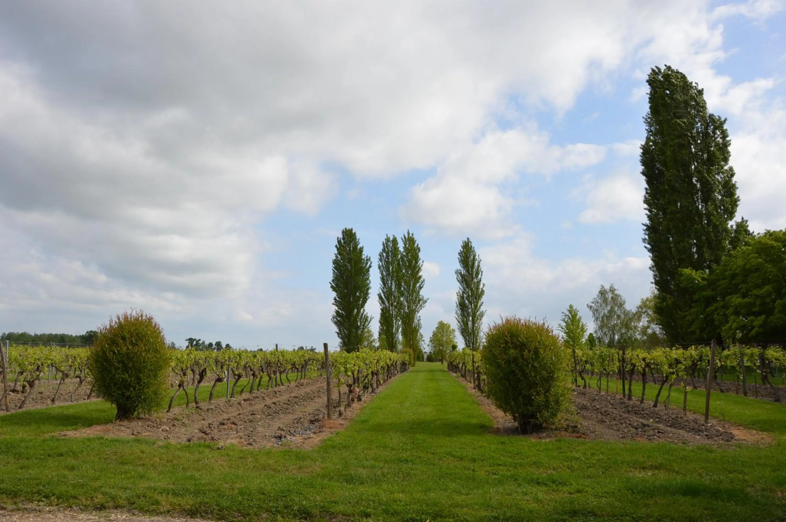 Garden in Logis Des Bessons