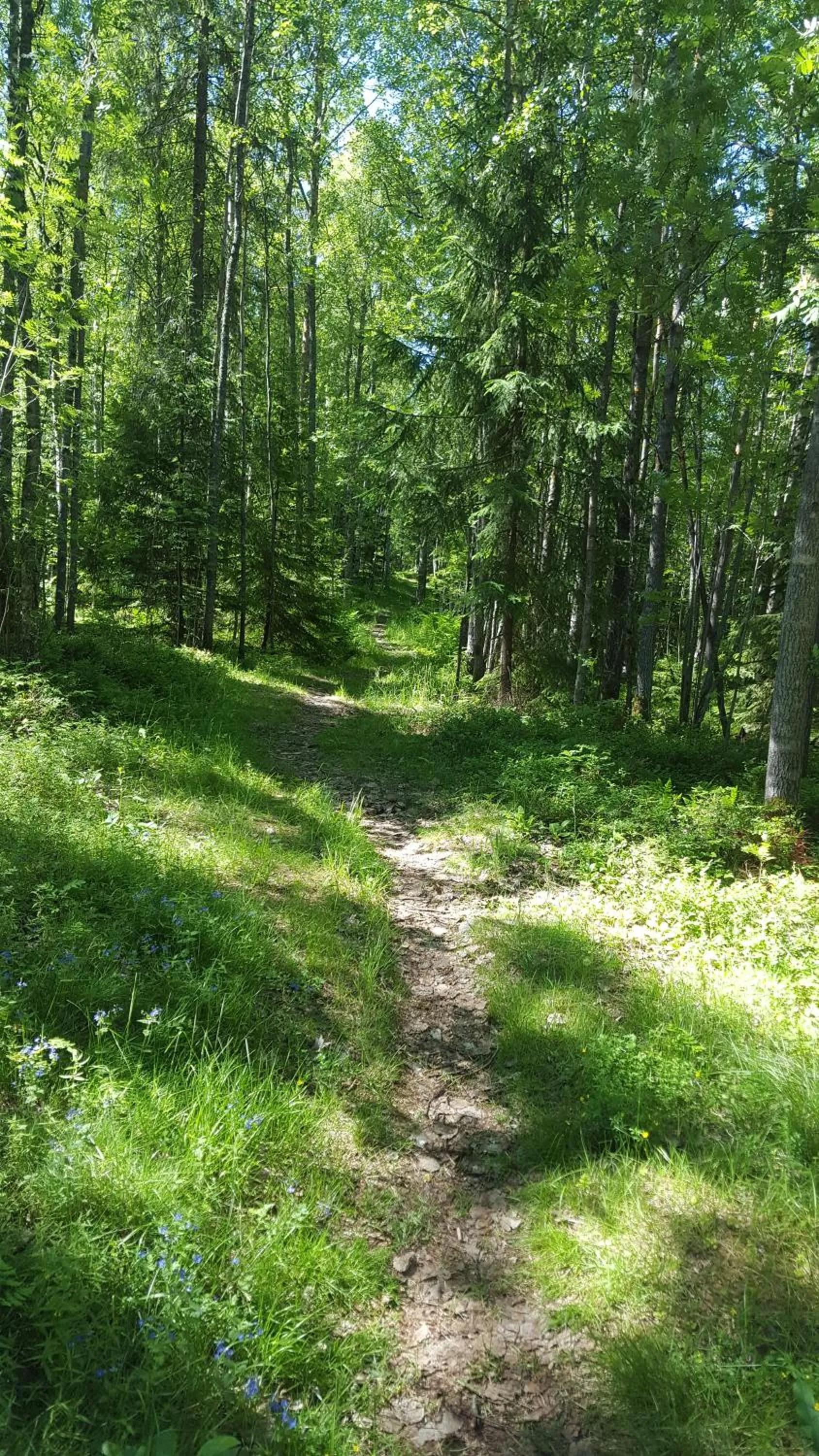 Natural landscape in Highway Hotel