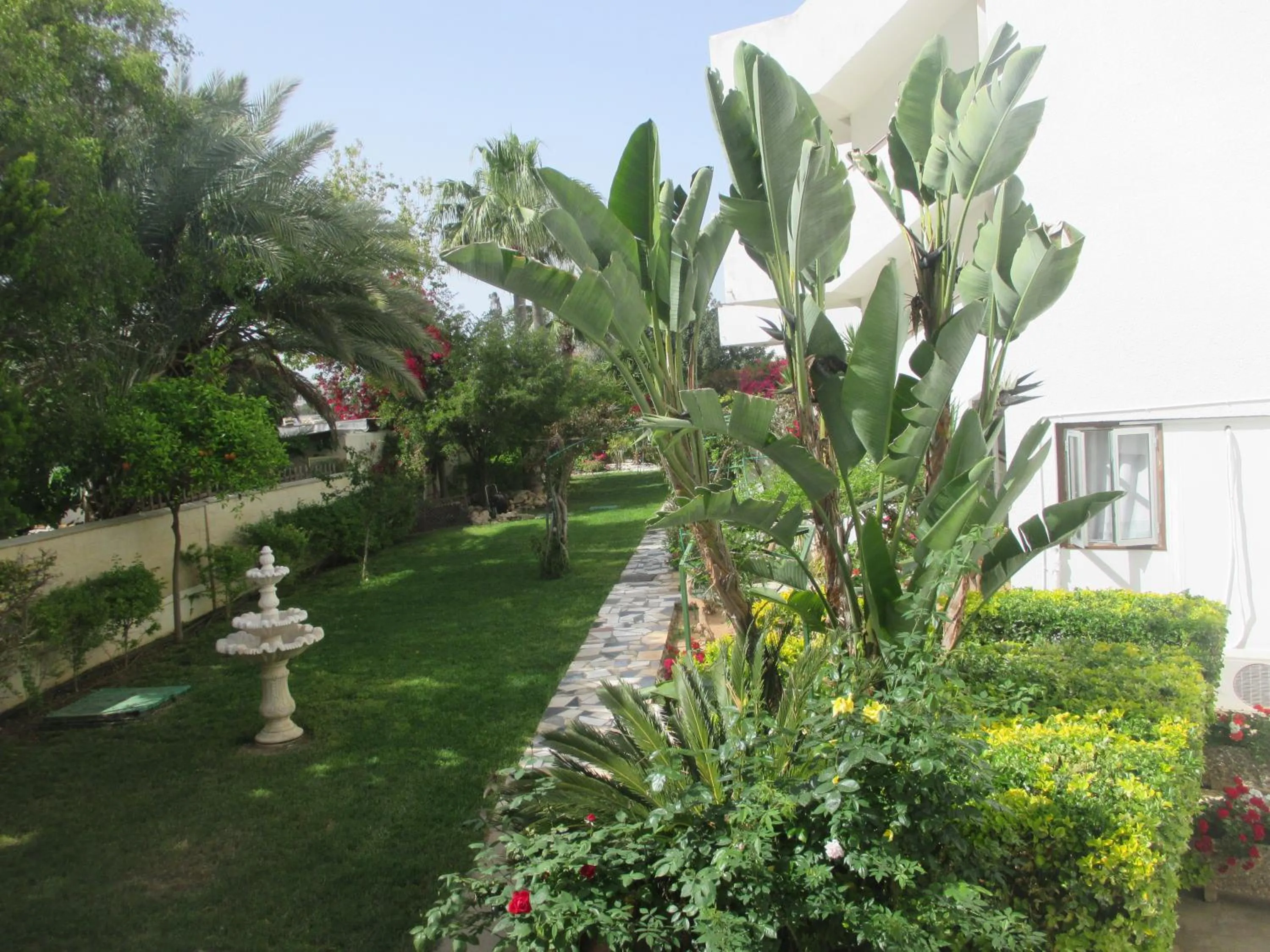 Garden in Tsialis Hotel Apartments