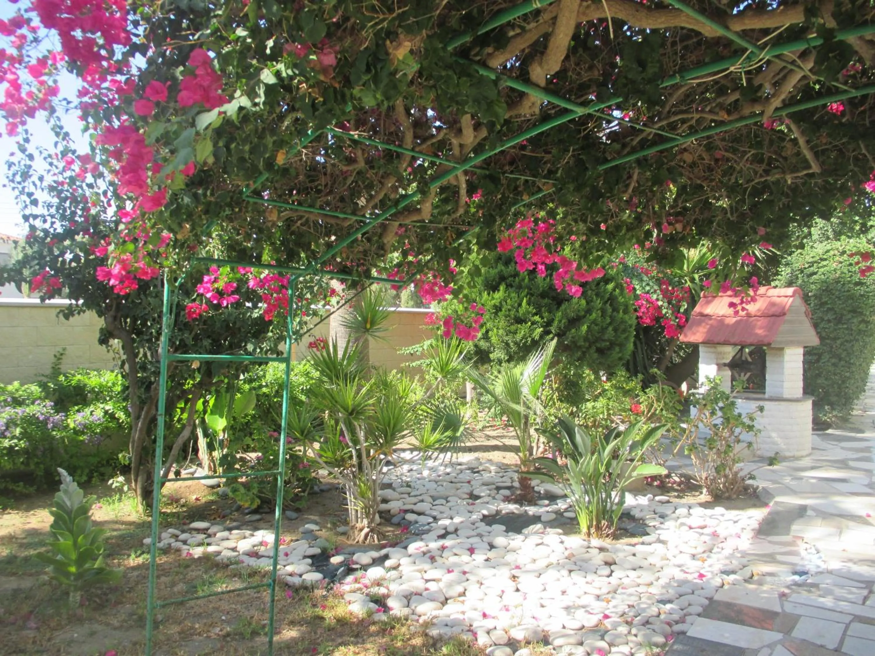 Natural landscape in Tsialis Hotel Apartments