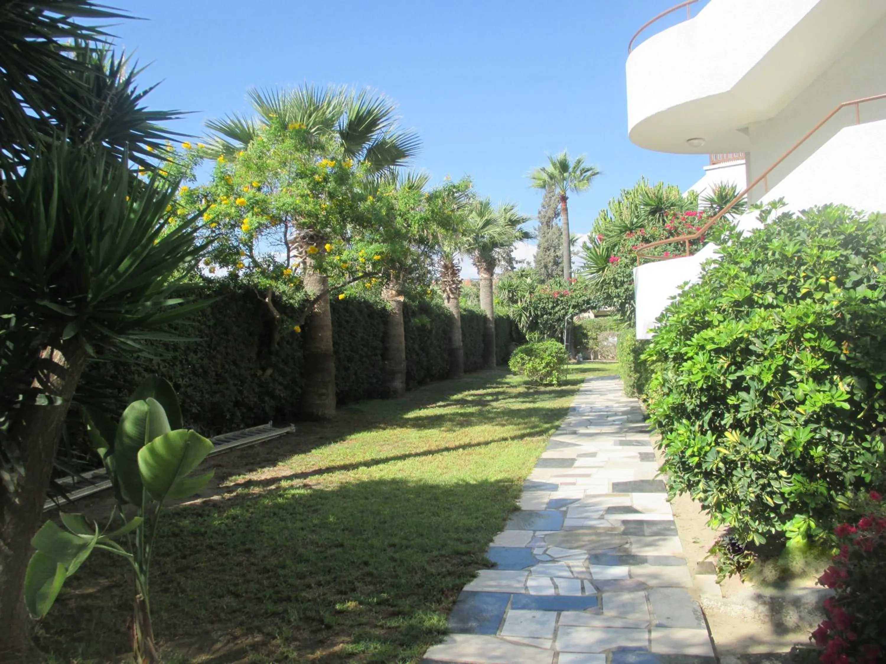 Garden in Tsialis Hotel Apartments