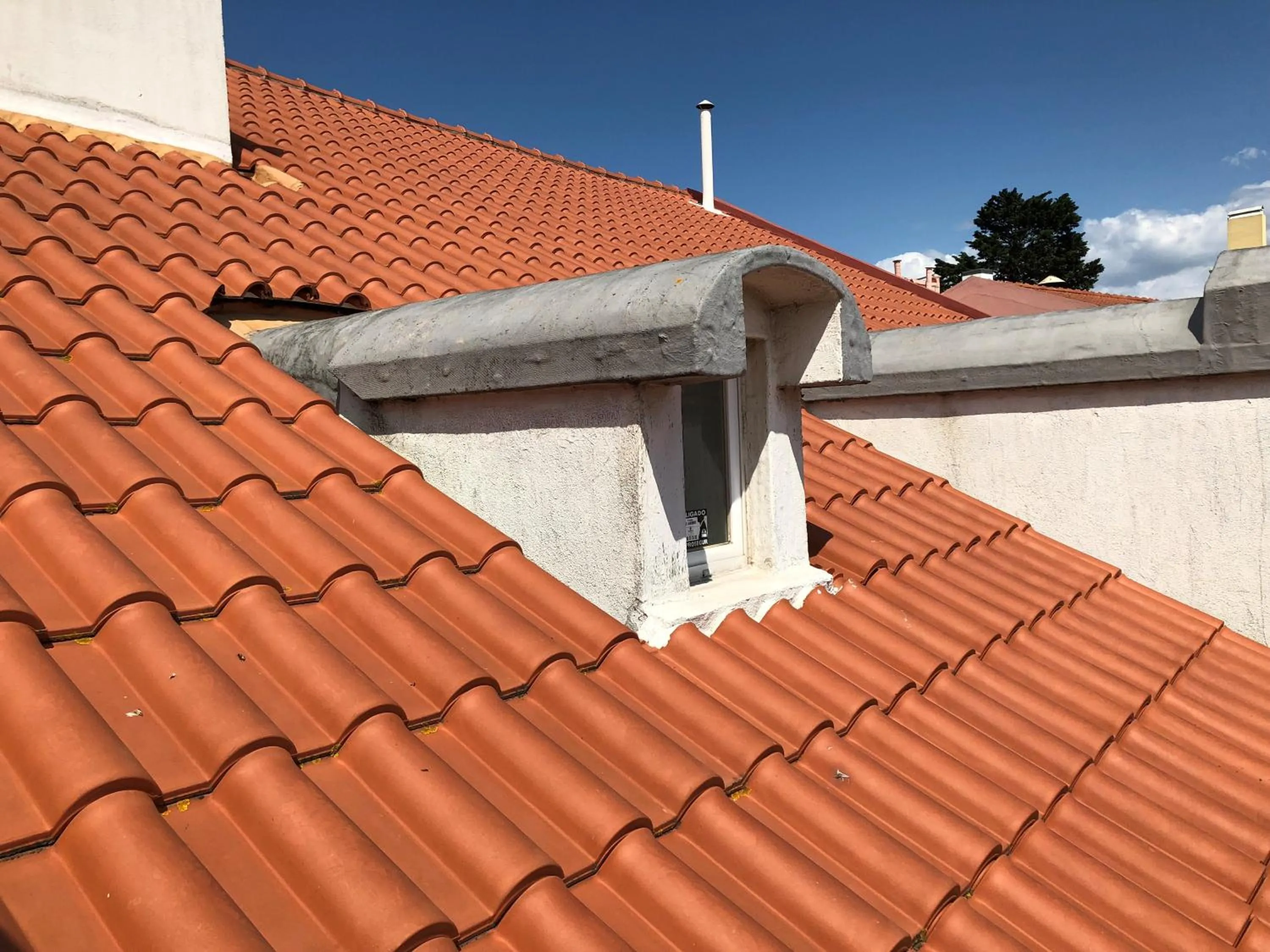 Botanic Views Guest House