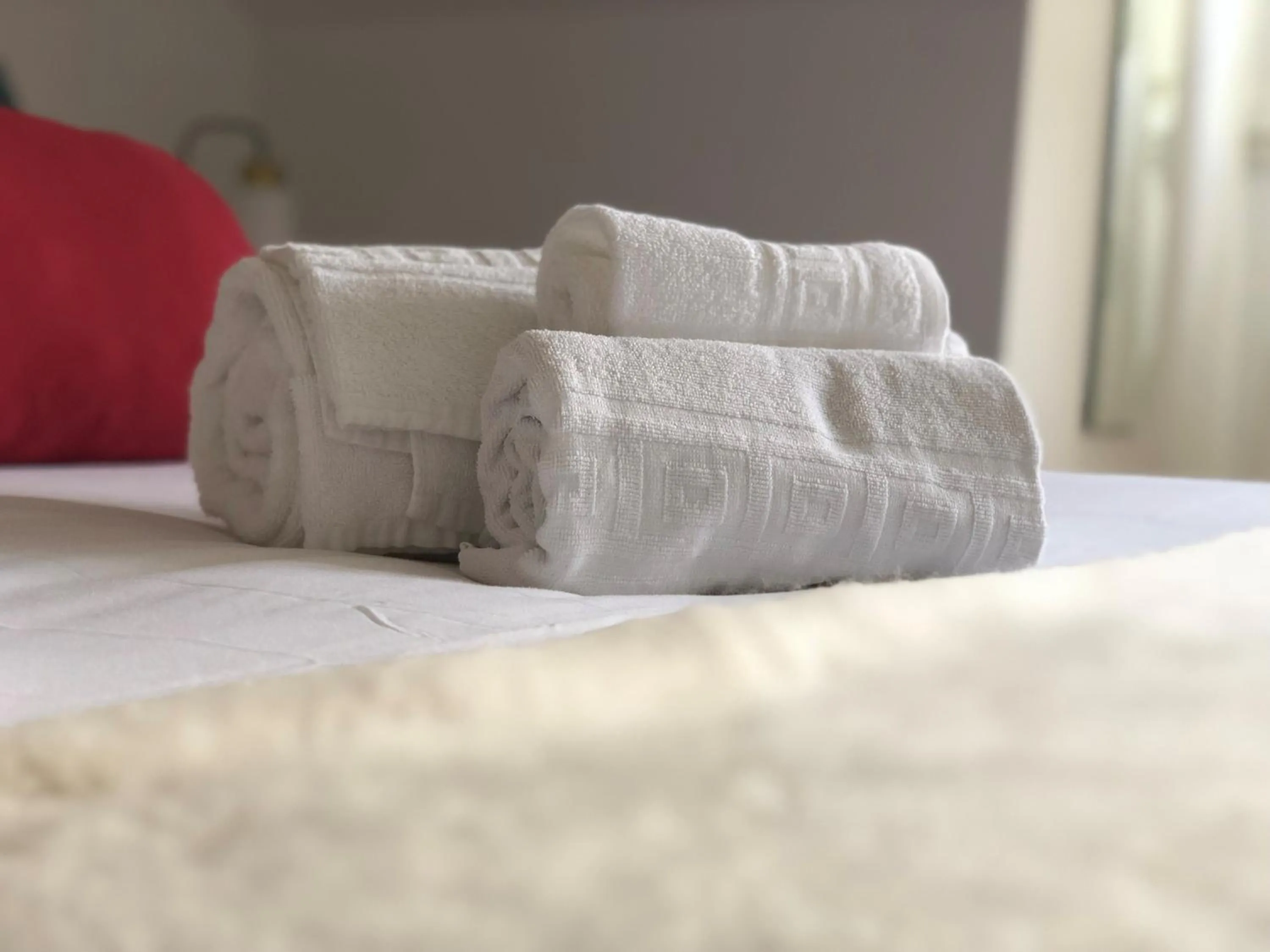 Botanic Views Guest House