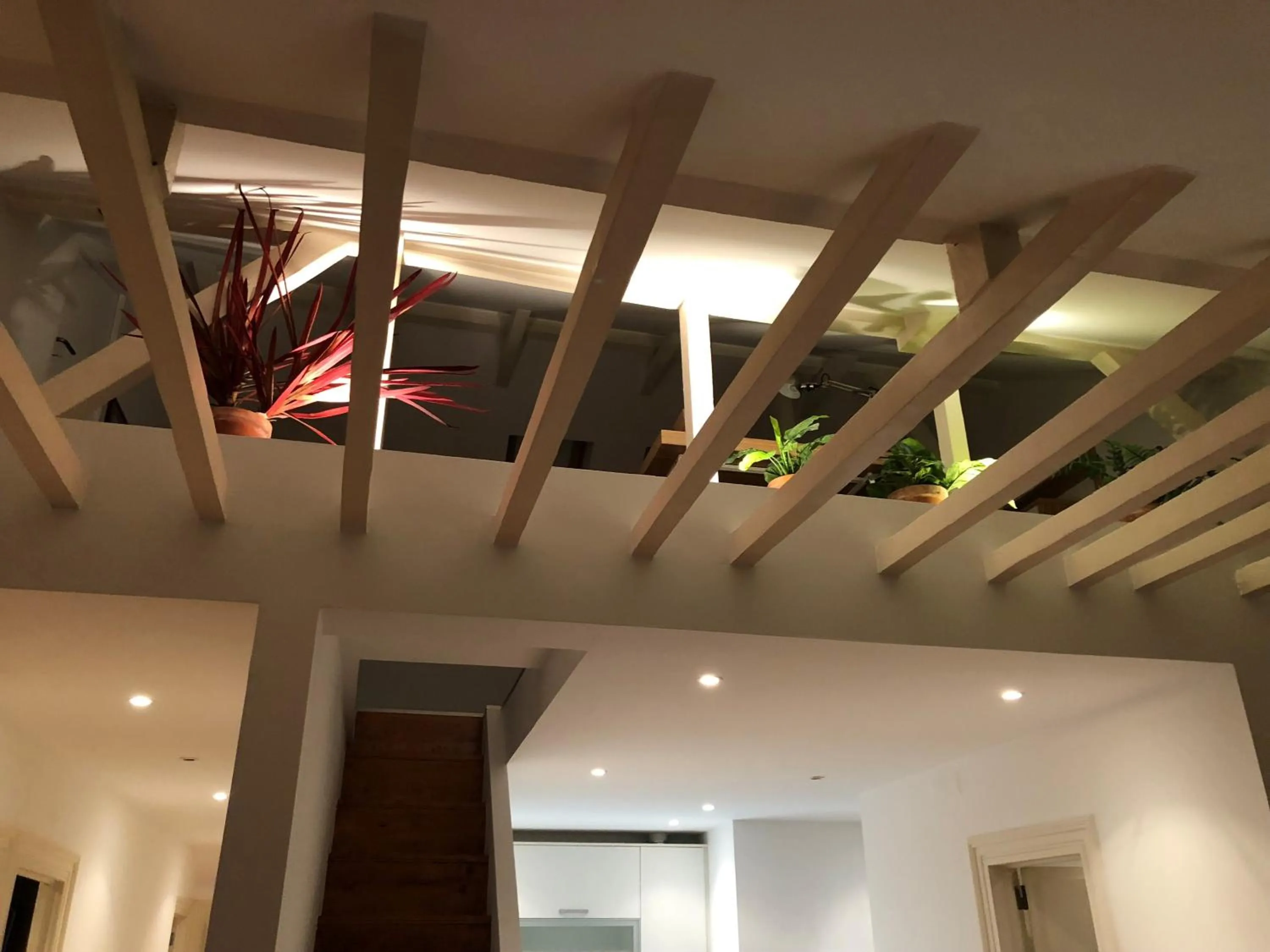 Botanic Views Guest House