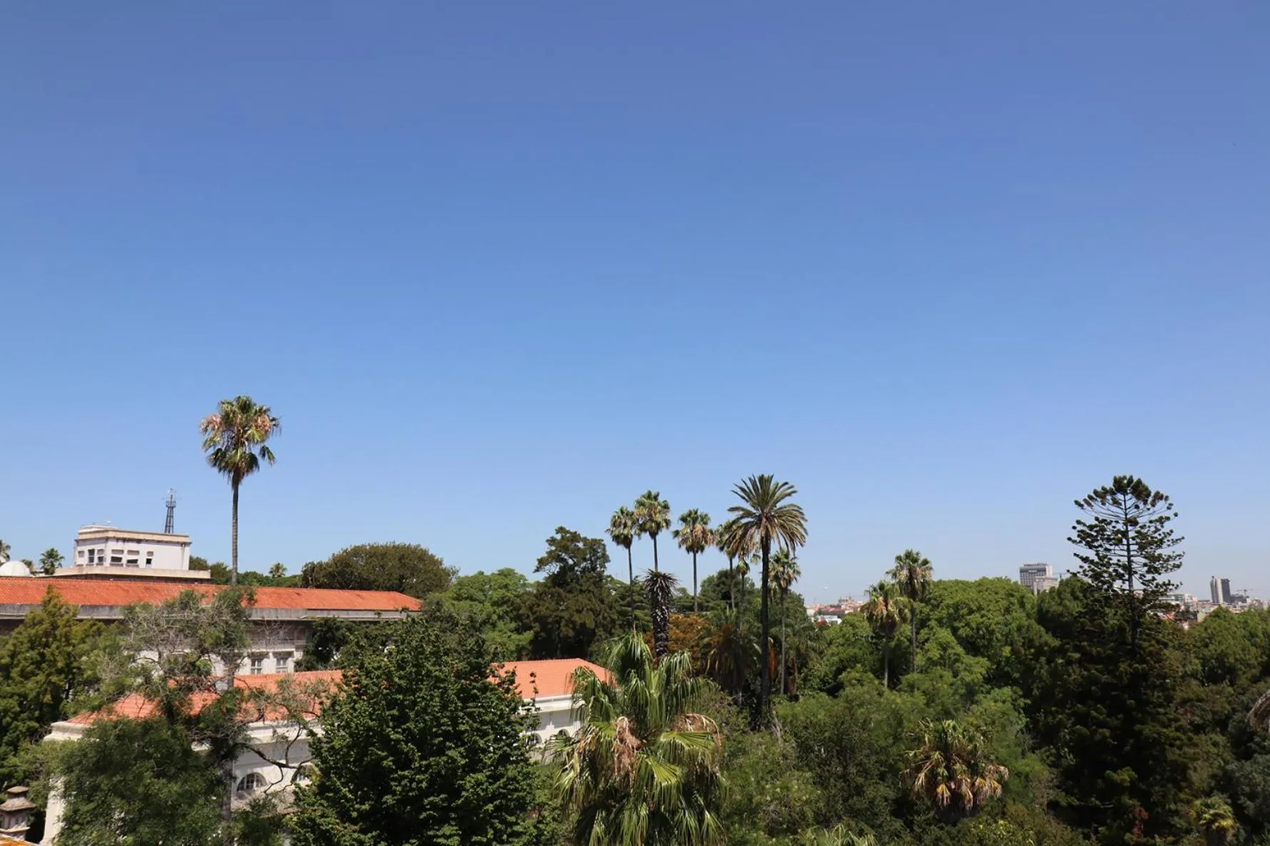 Botanic Views Guest House