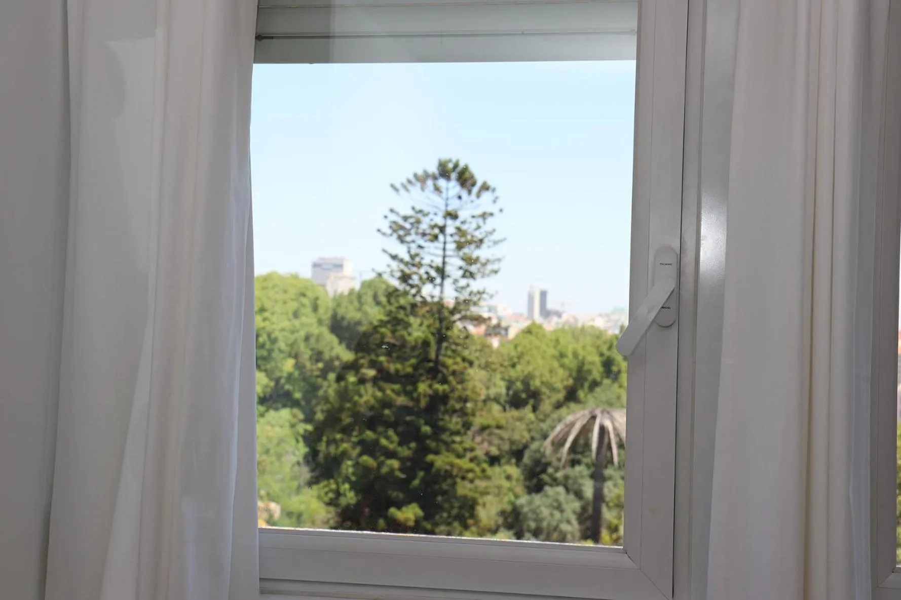 Garden view in Botanic Views Guest House