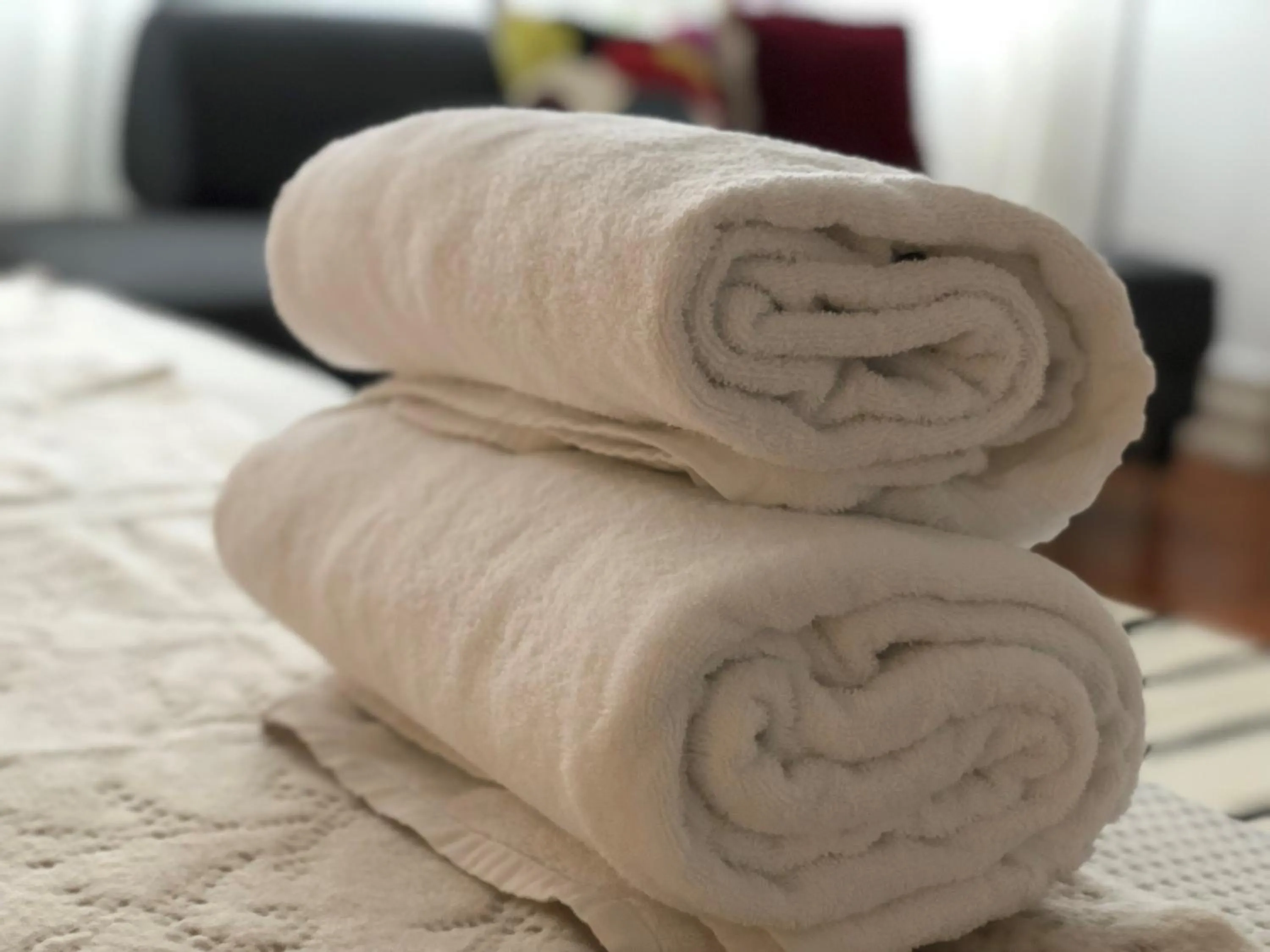 Botanic Views Guest House