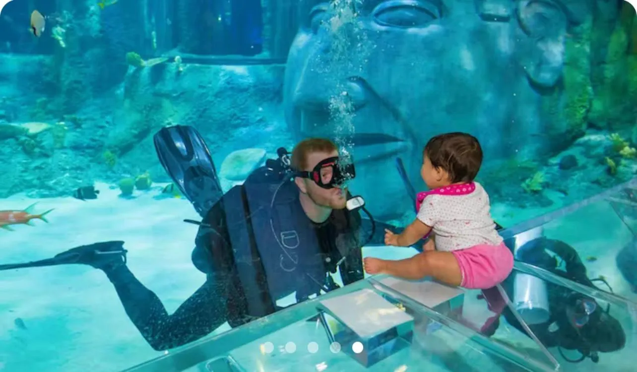 Entertainment in Executive 3 Bedroom Villa at Universal,Convention Center, Vista Cay