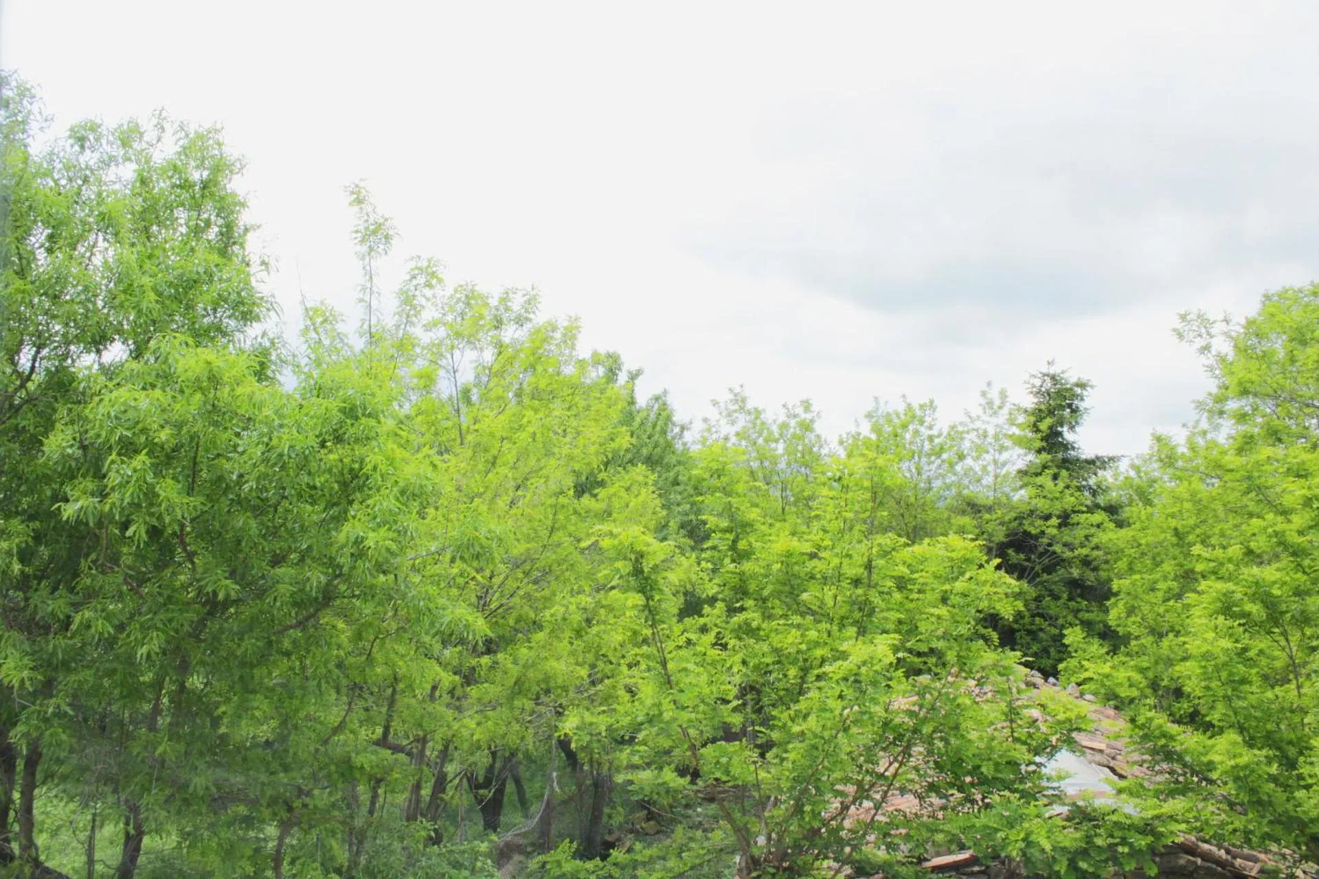 Property building in Cielo Stellato