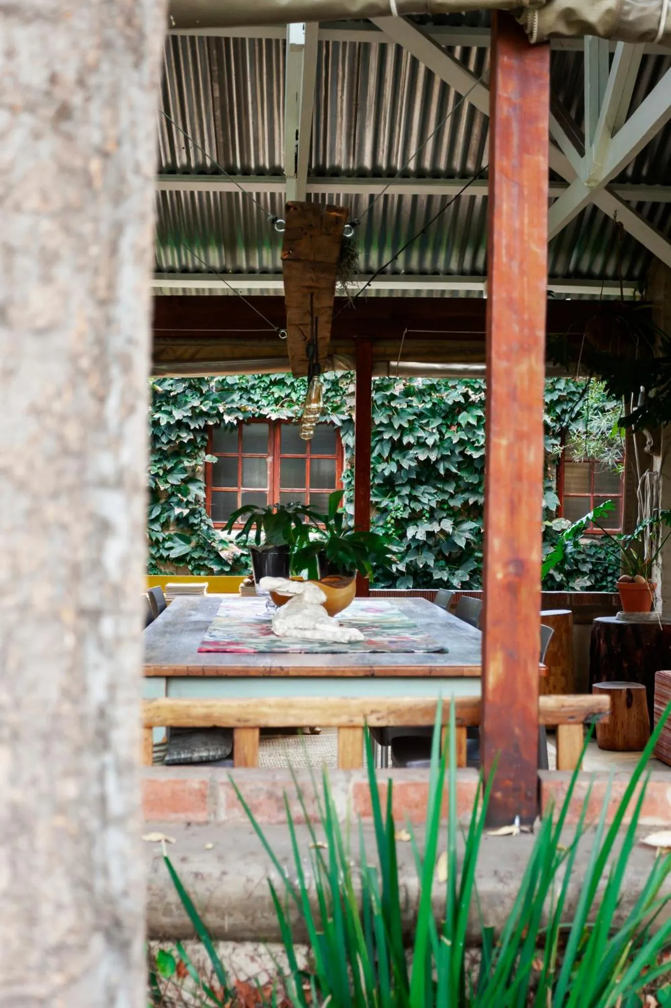 Town and Country Mpumalanga