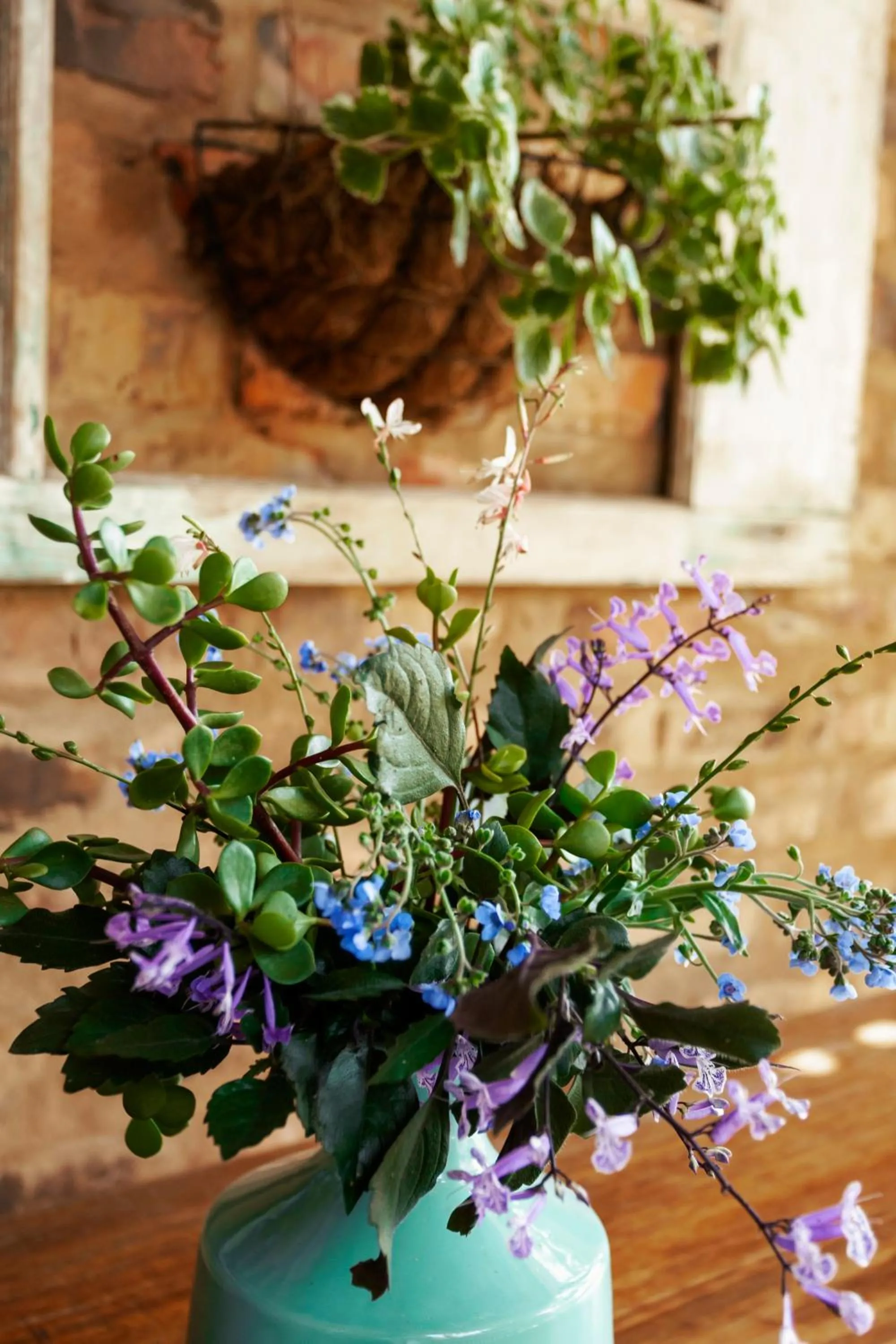 Town and Country Mpumalanga