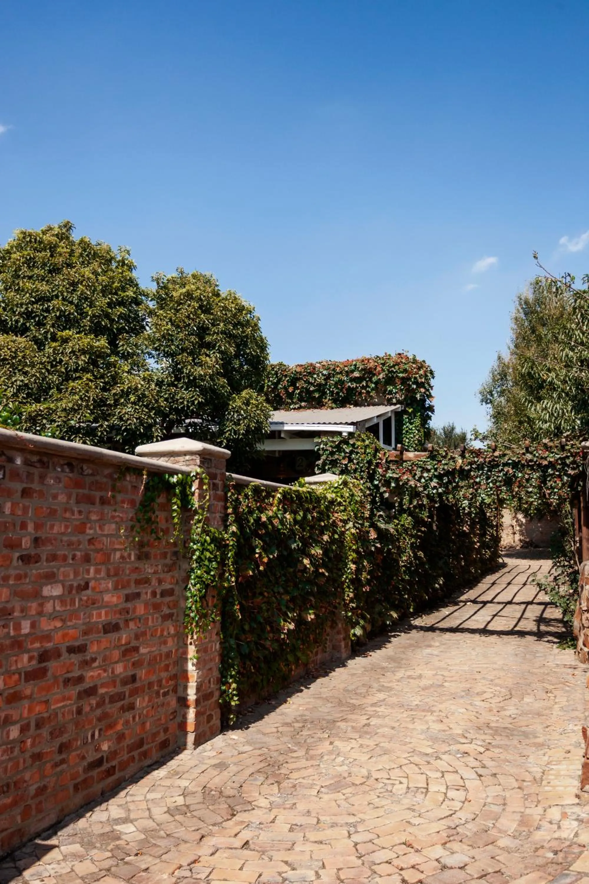 Town and Country Mpumalanga