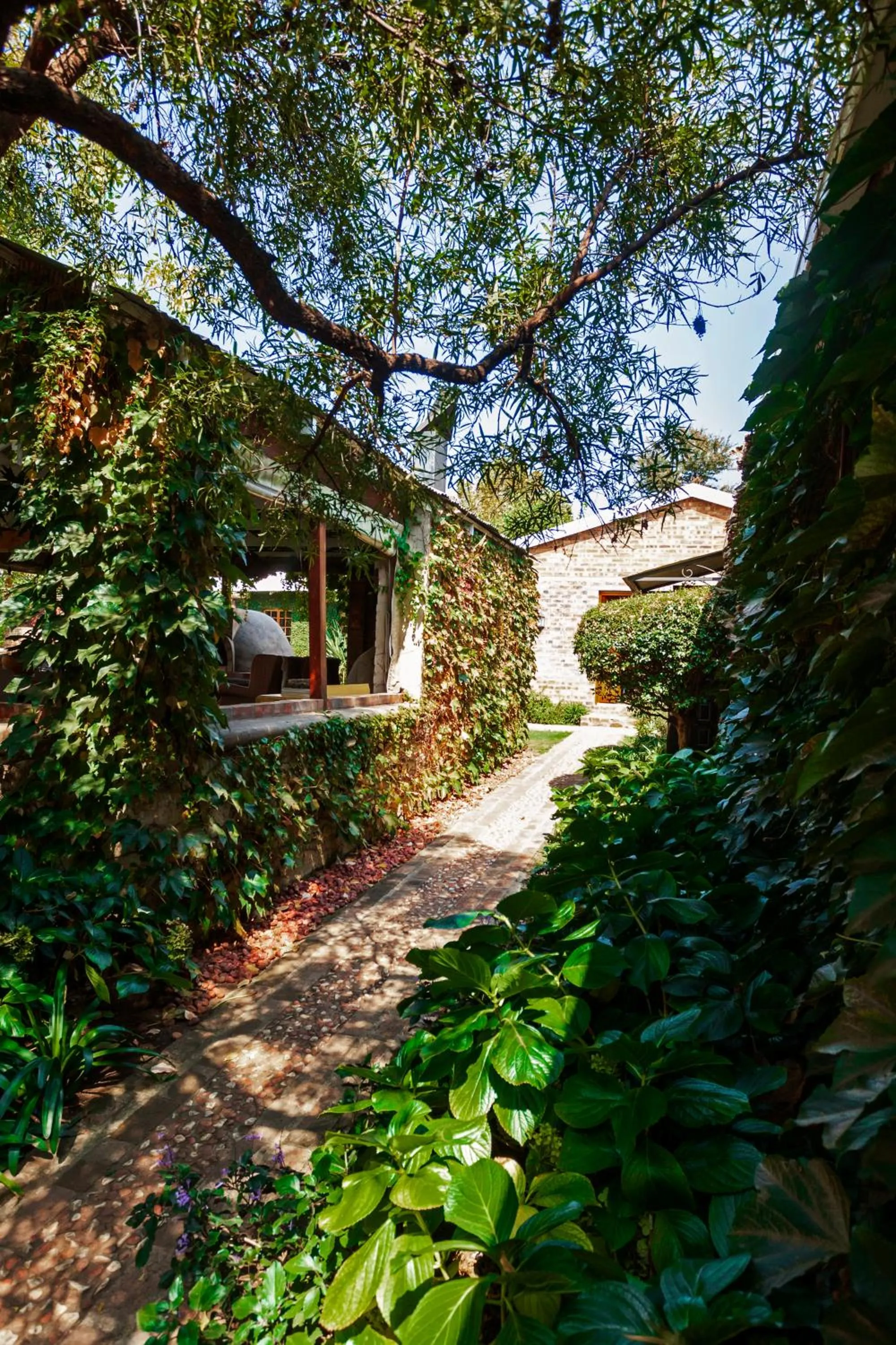 Town and Country Mpumalanga