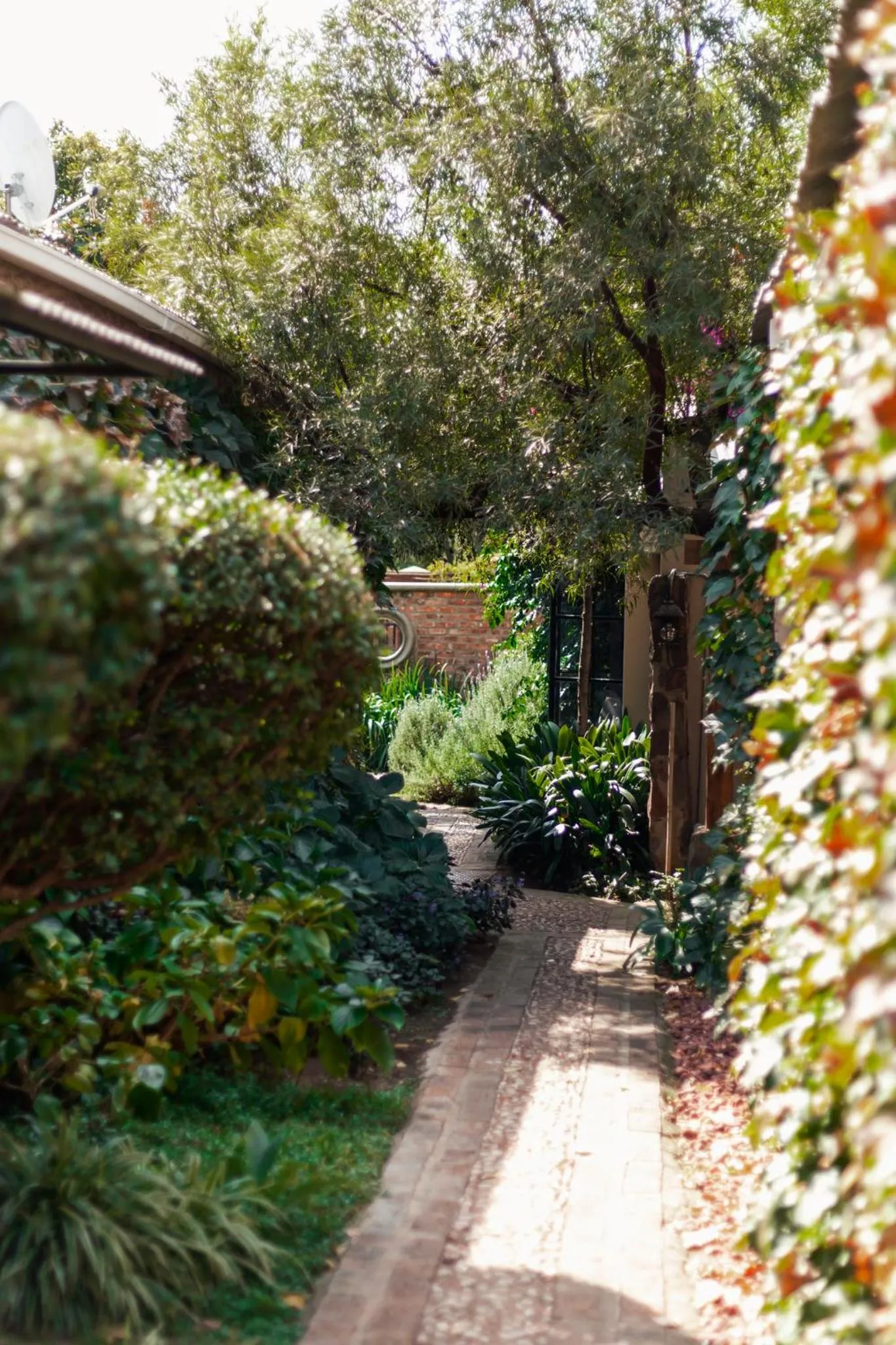 Town and Country Mpumalanga