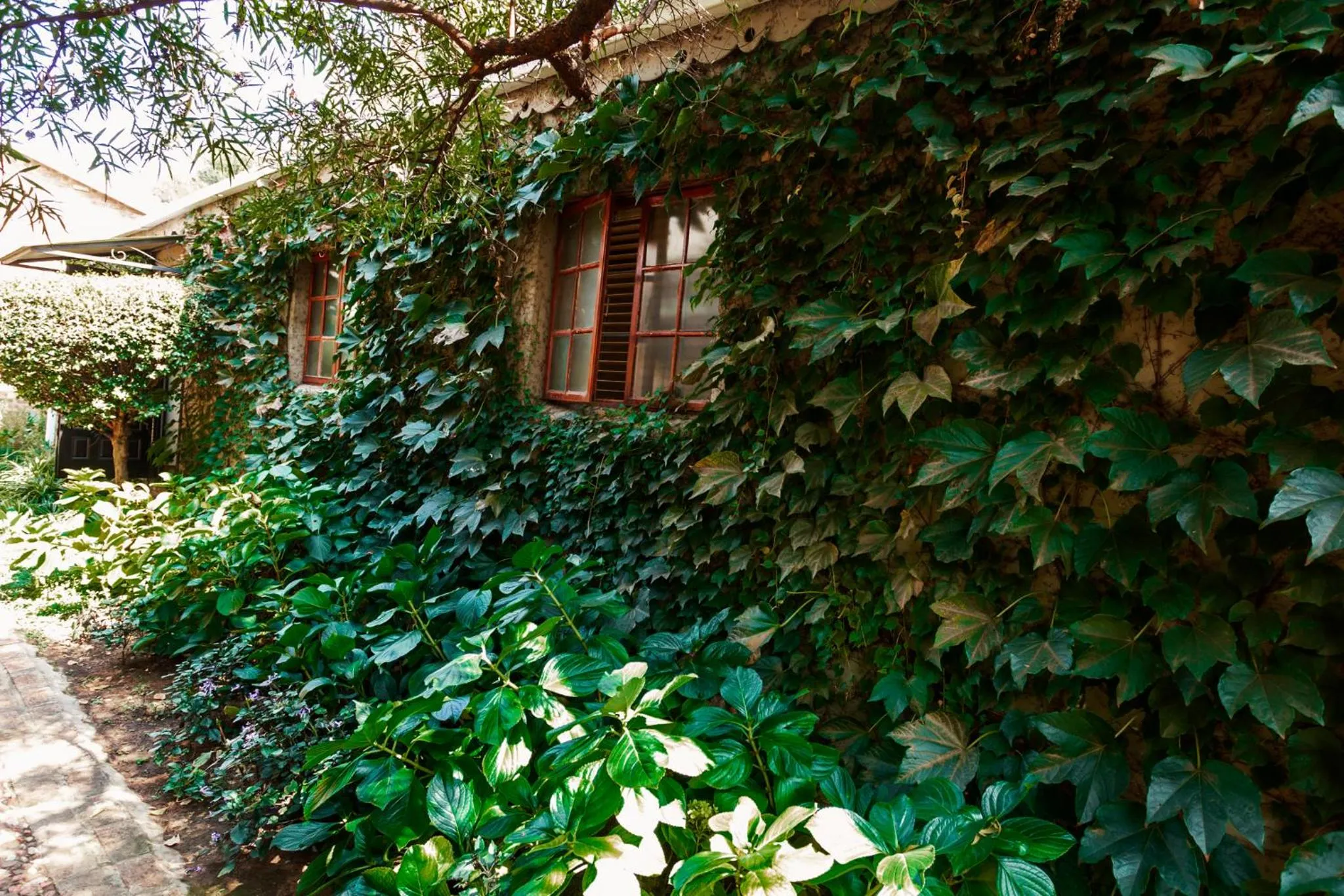 Town and Country Mpumalanga