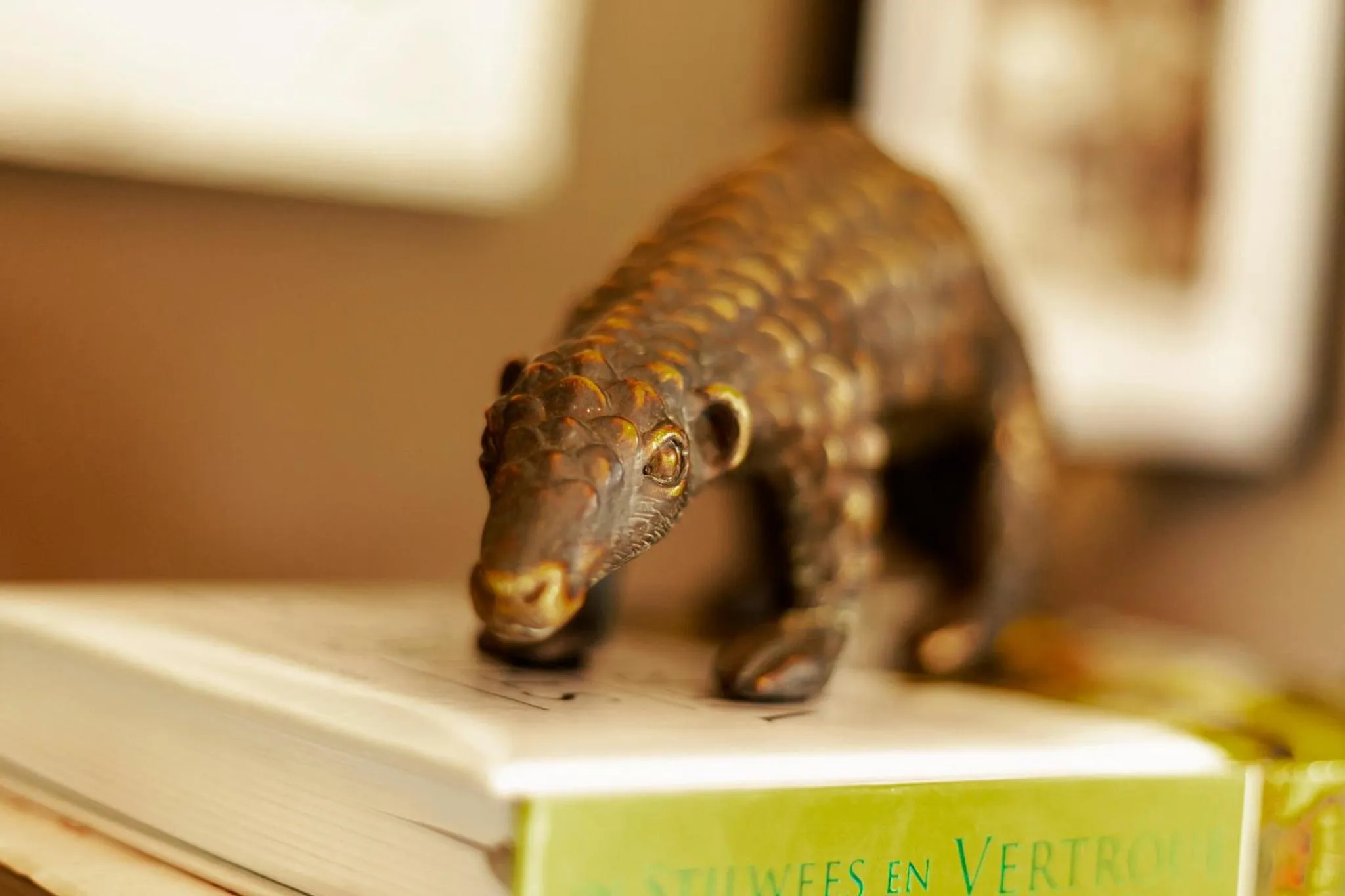 Town and Country Mpumalanga