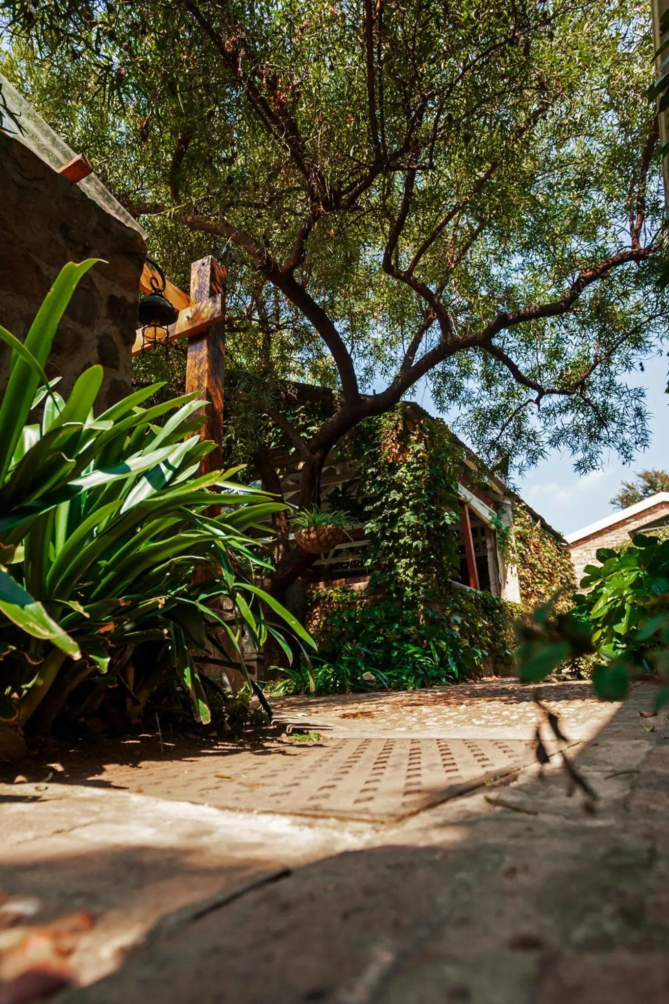 Town and Country Mpumalanga