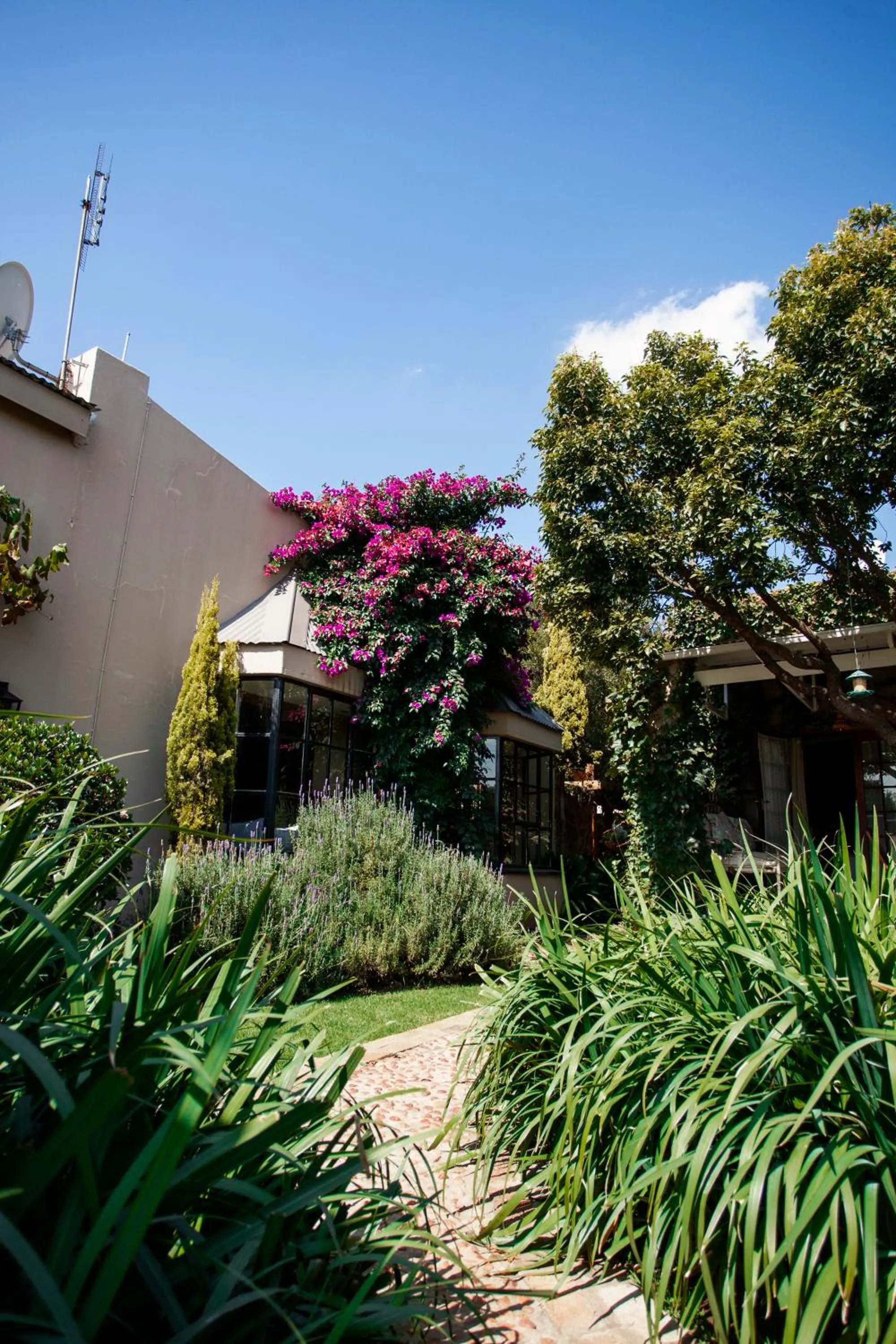 Town and Country Mpumalanga