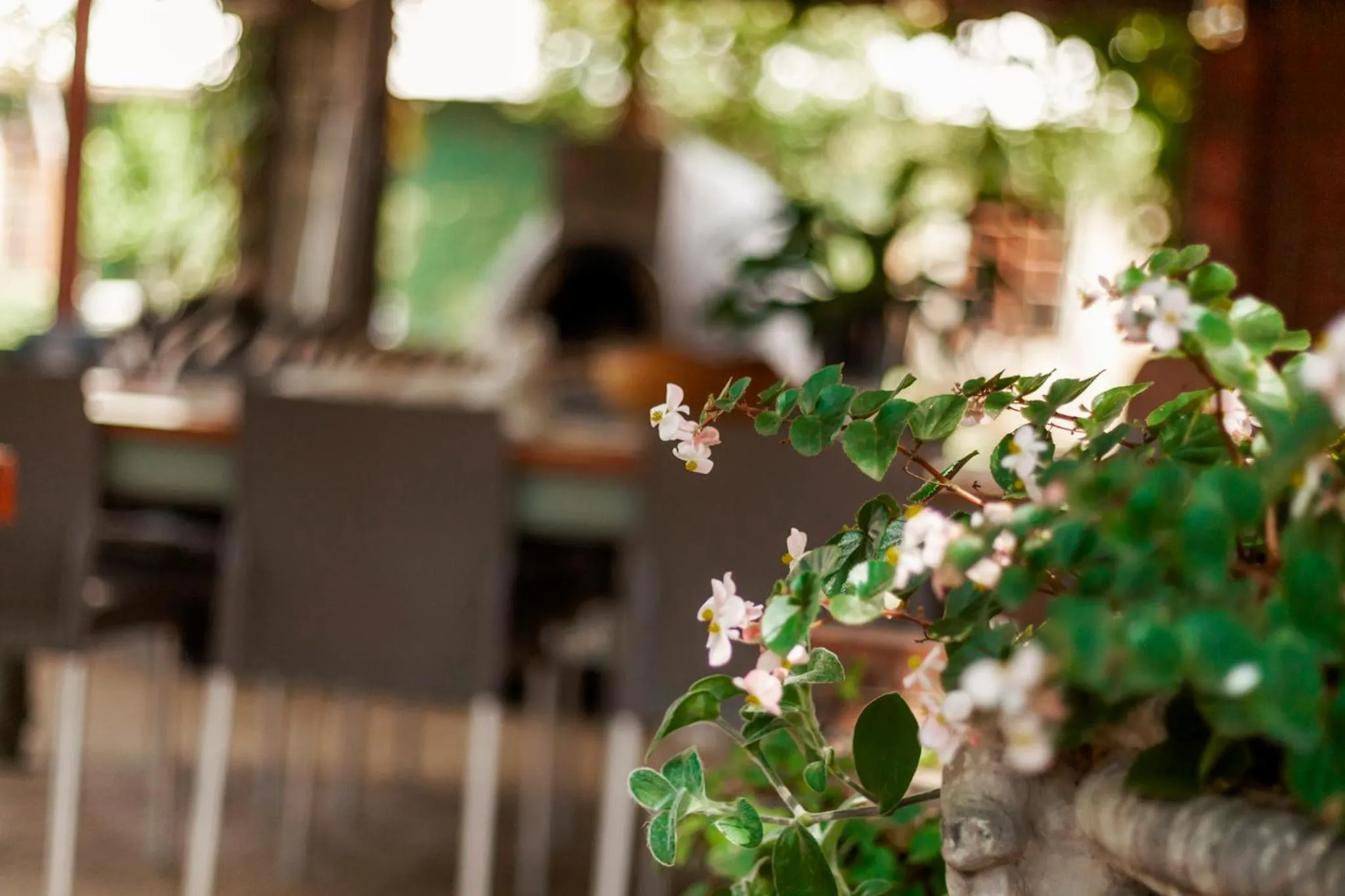 Town and Country Mpumalanga