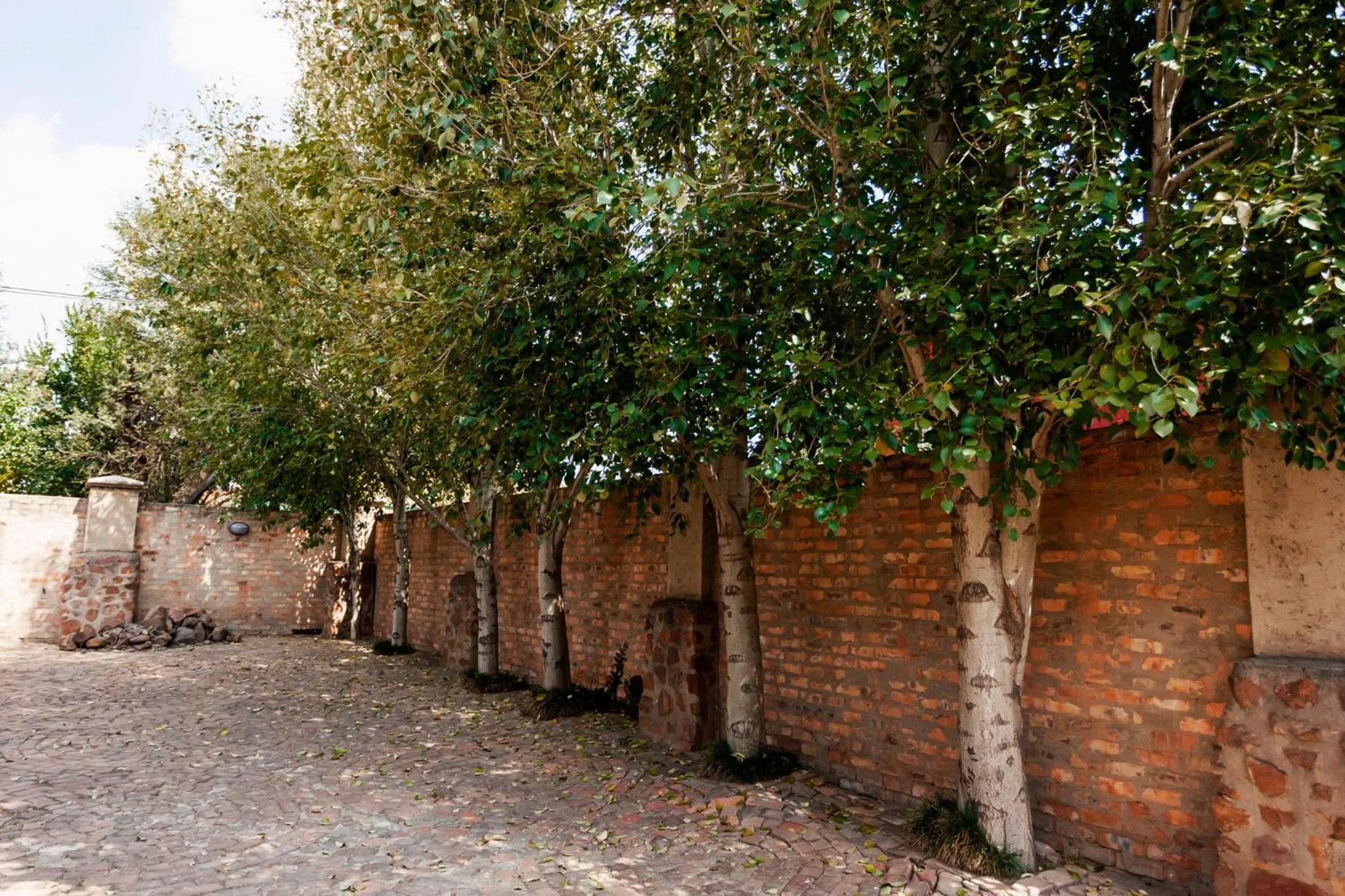 Town and Country Mpumalanga