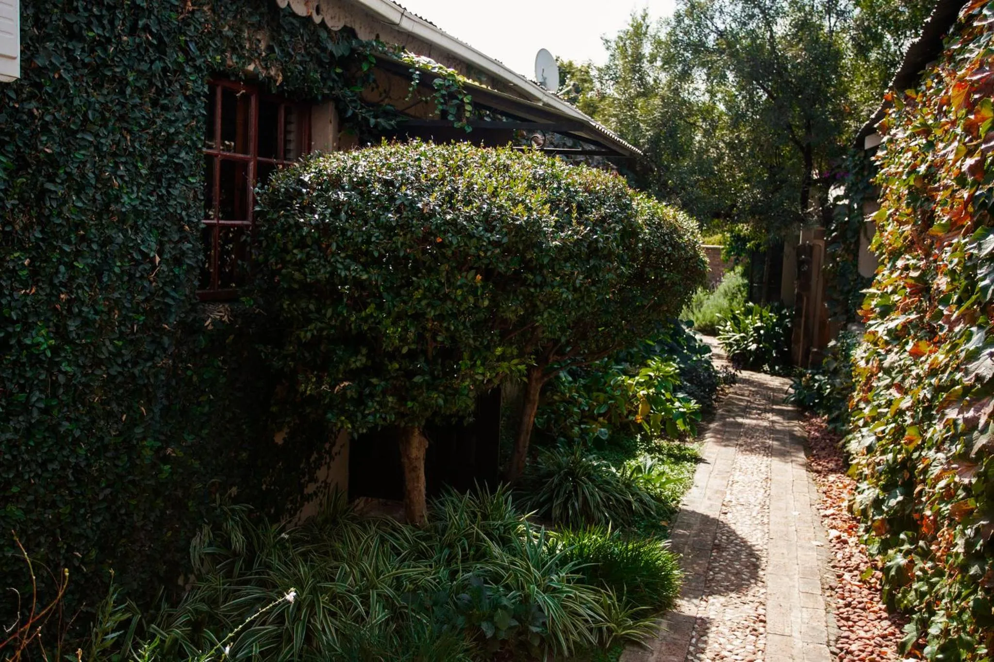 Town and Country Mpumalanga