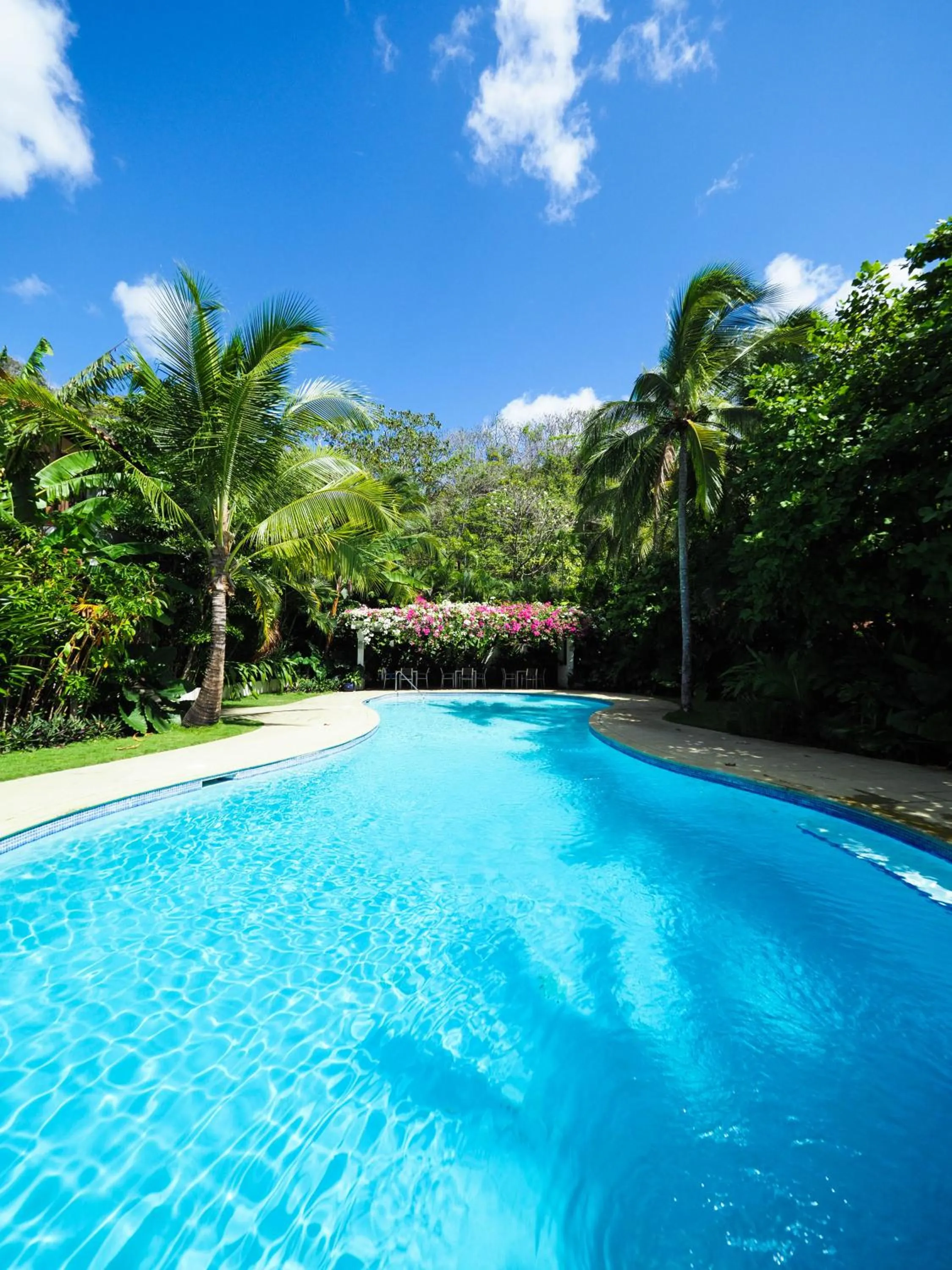 Swimming pool in Hotel Playa Cambutal