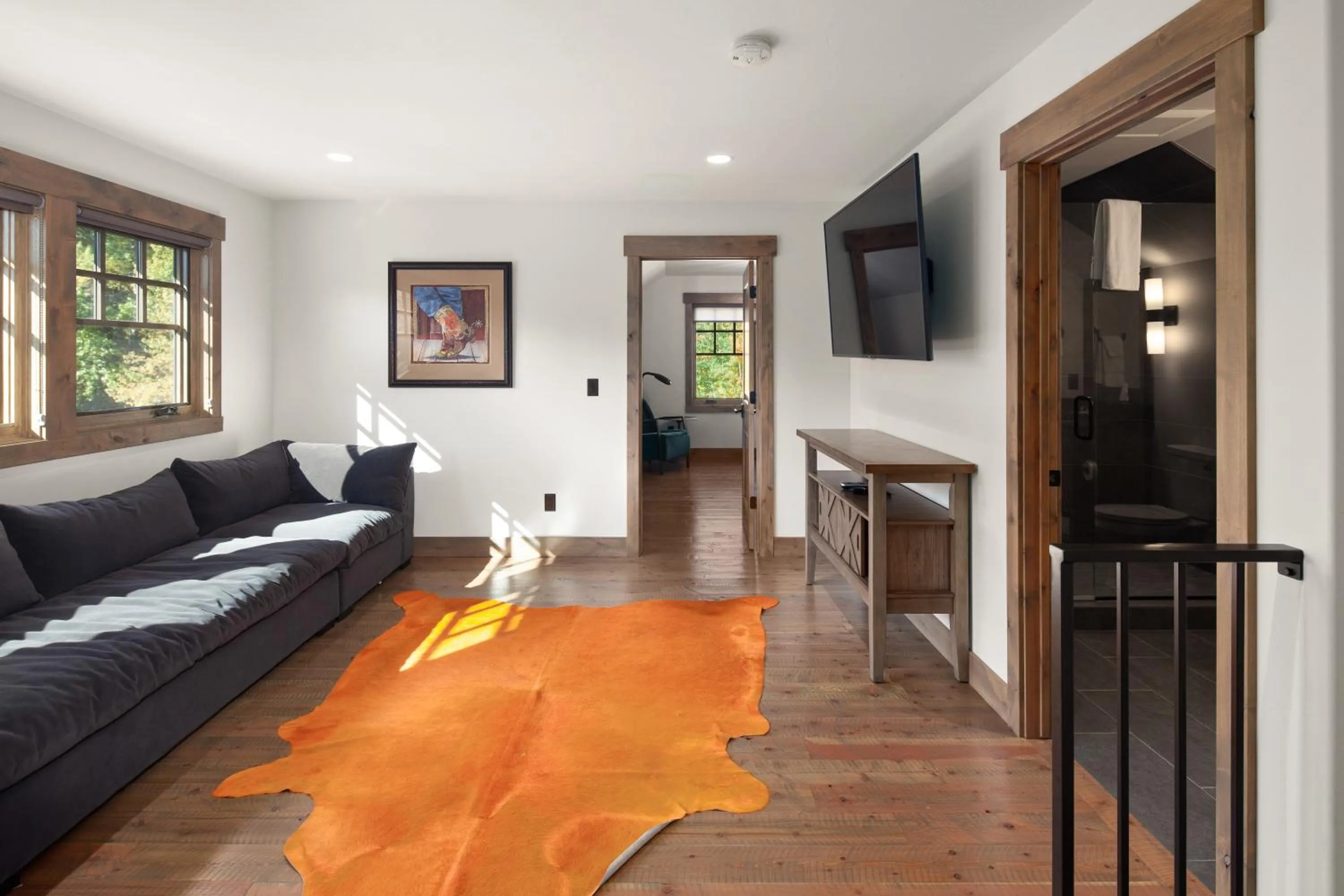 TV and multimedia in Lodge at Whitefish Lake