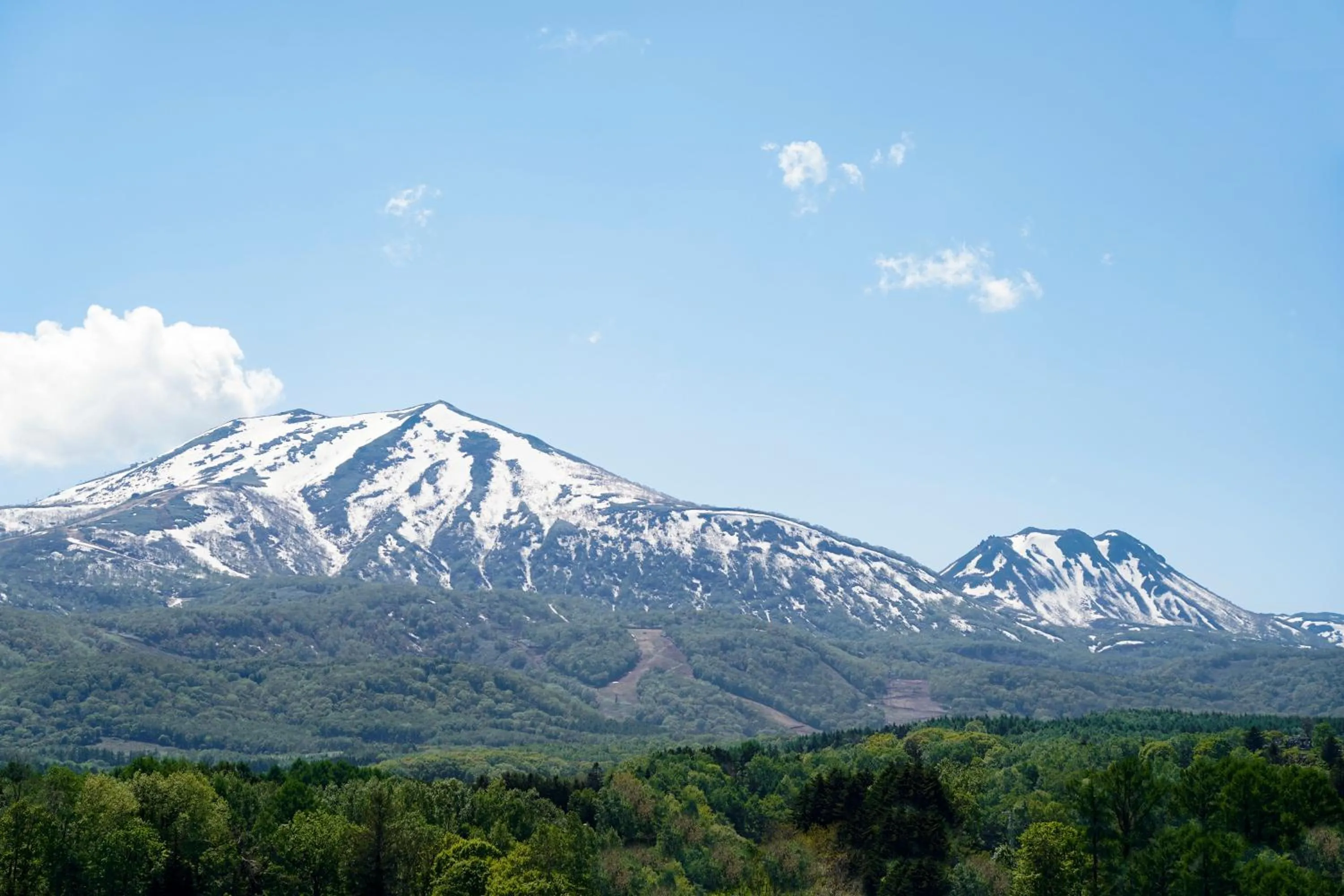 Natural landscape in Smart Hotel Kutchan