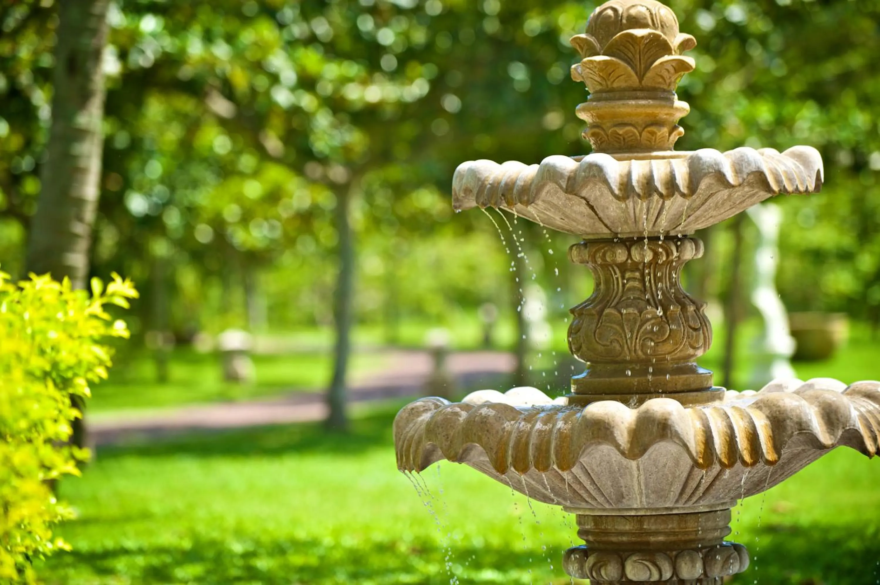 Garden in Promisedland Resort & Lagoon