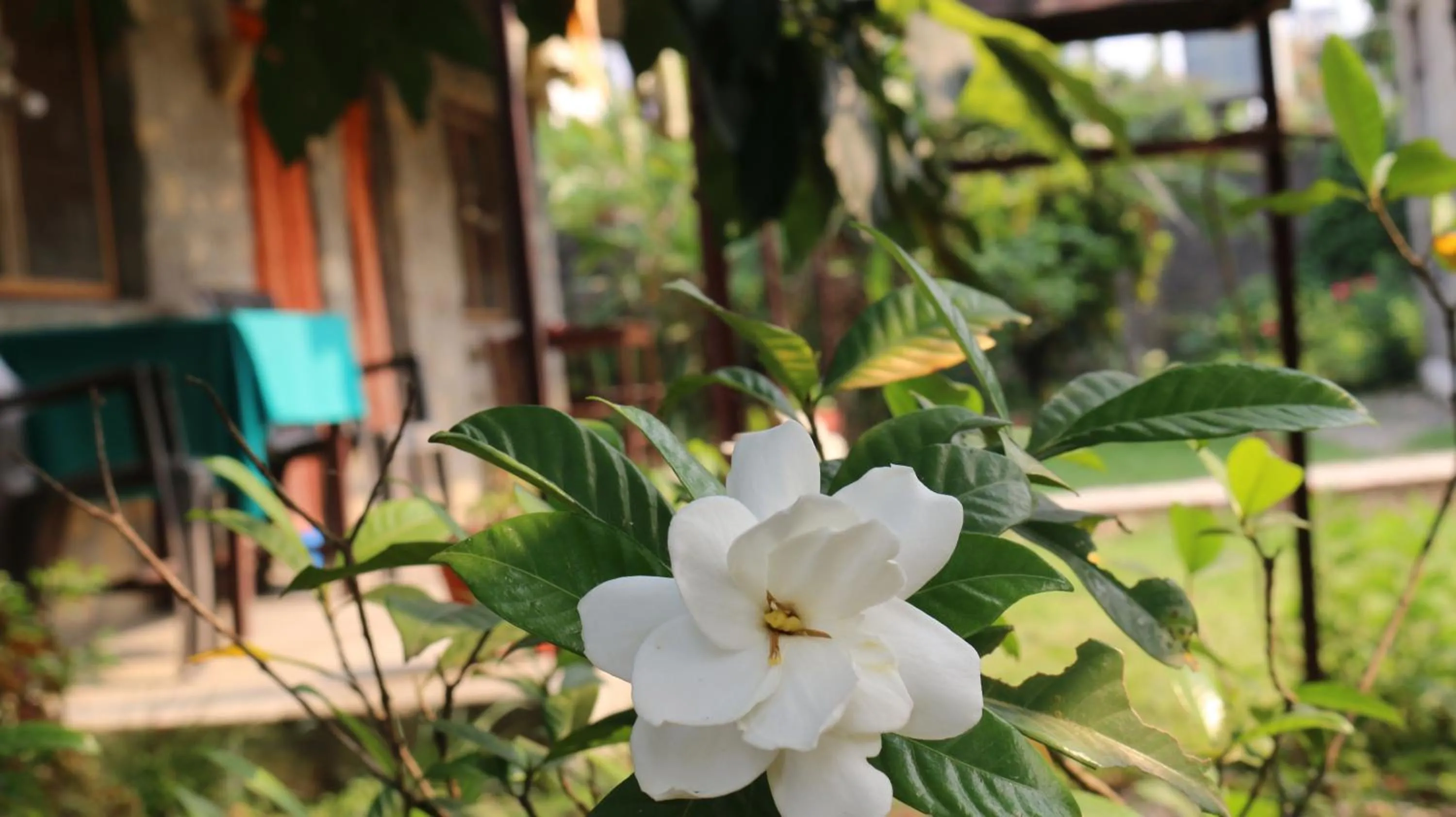 Standard Twin Room - single occupancy in Gurkha Lodge