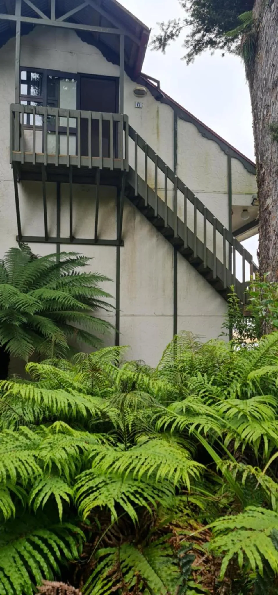 Garden in Alpine Chalets
