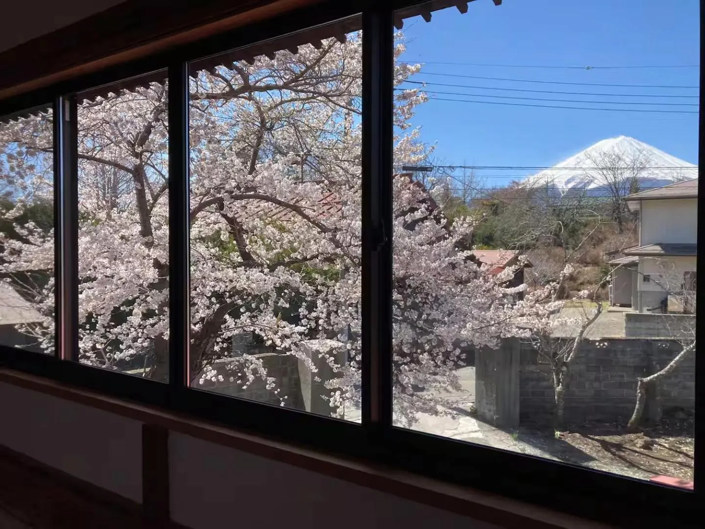 Fuji Sakura House