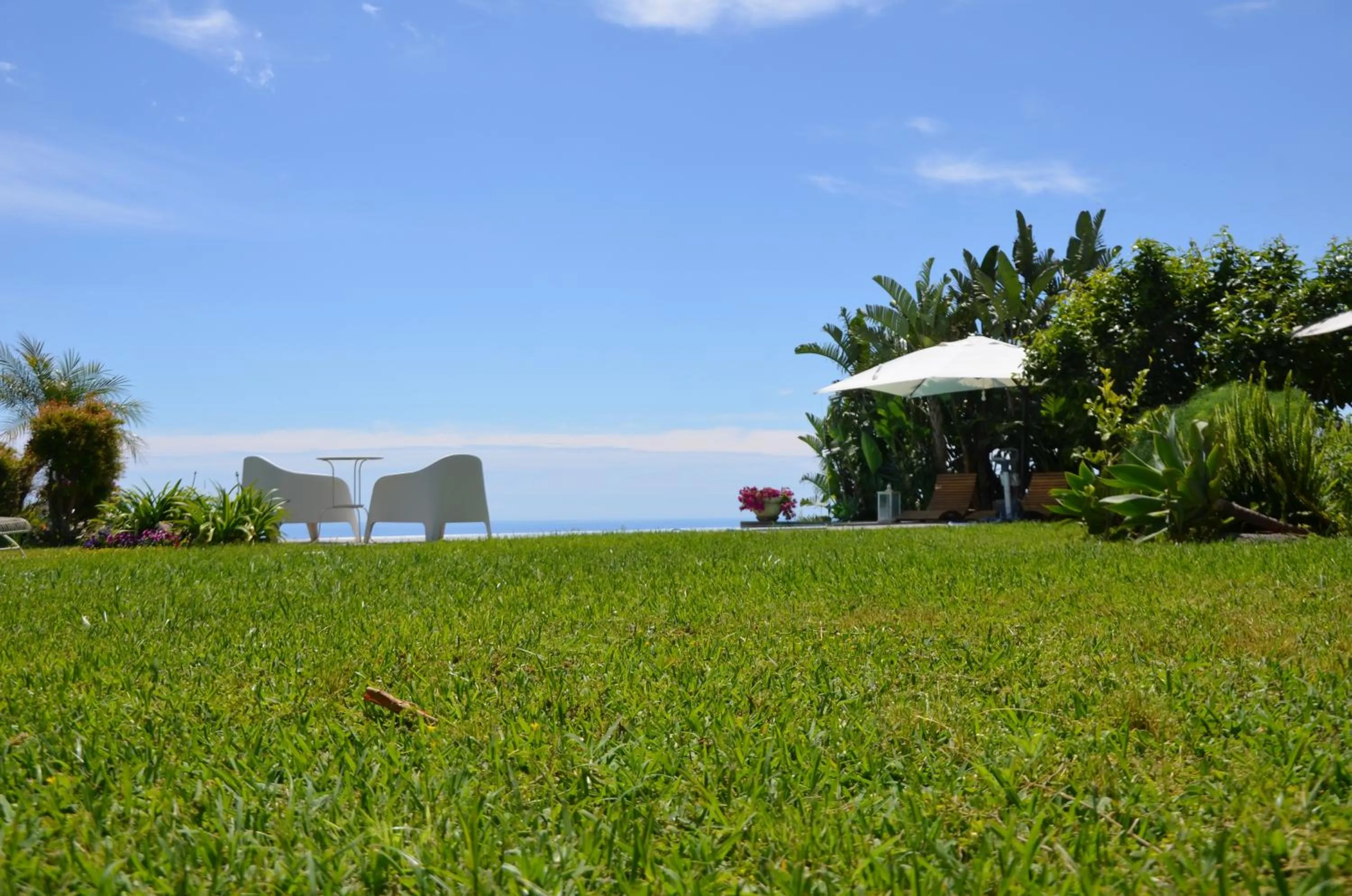 Garden in La casa del panorama