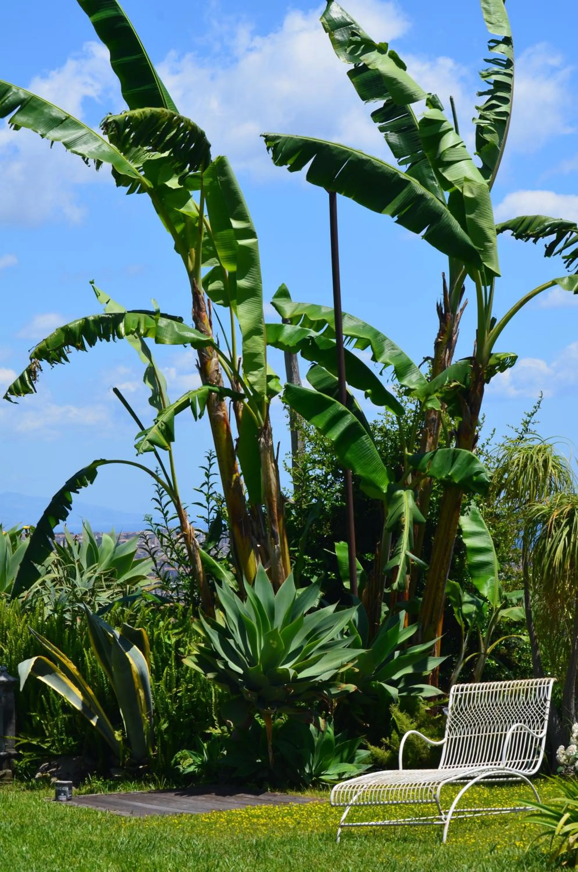 Garden in La casa del panorama
