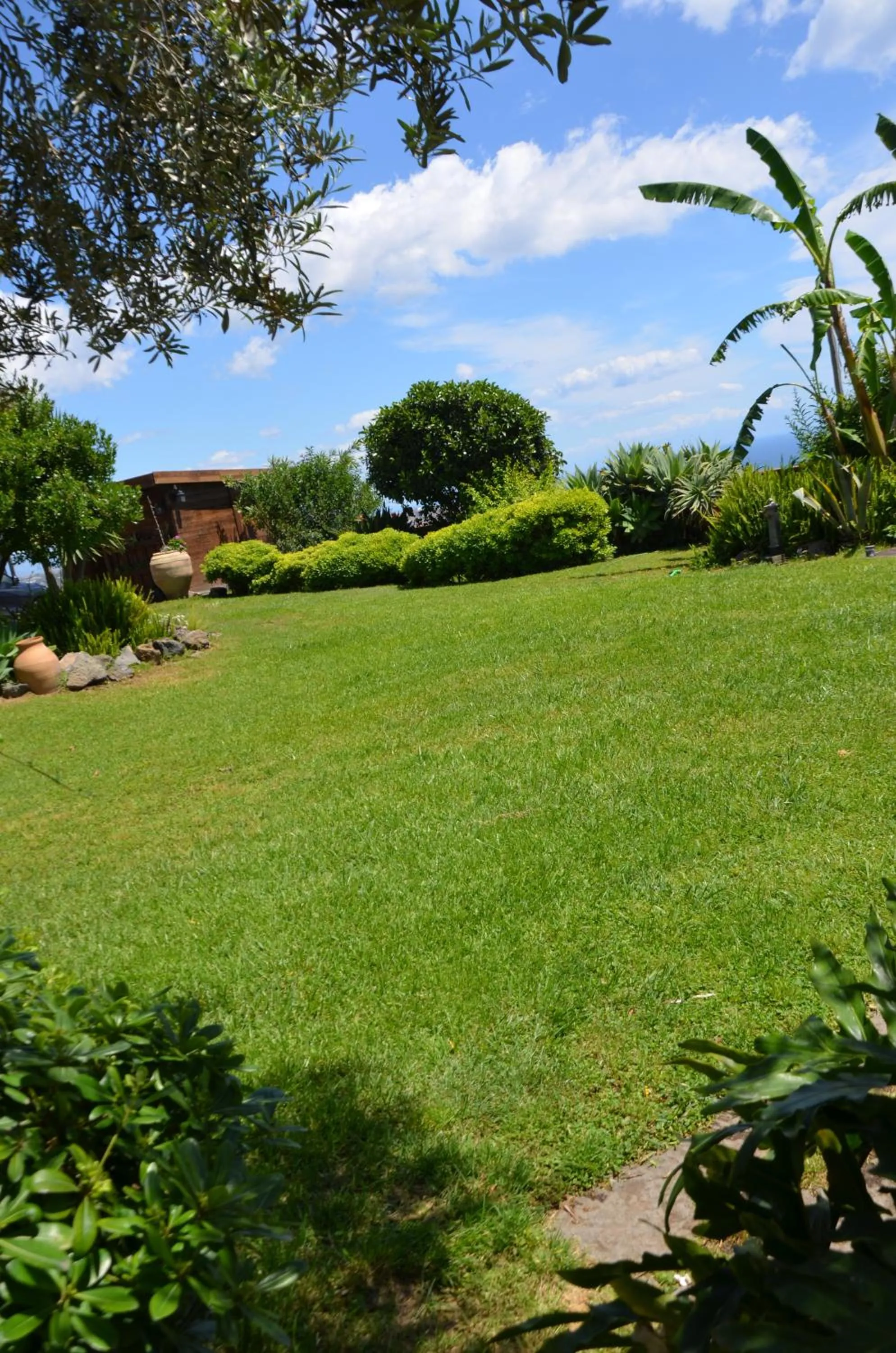Garden in La casa del panorama