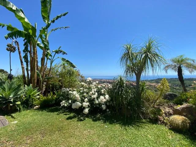 Garden view in La casa del panorama