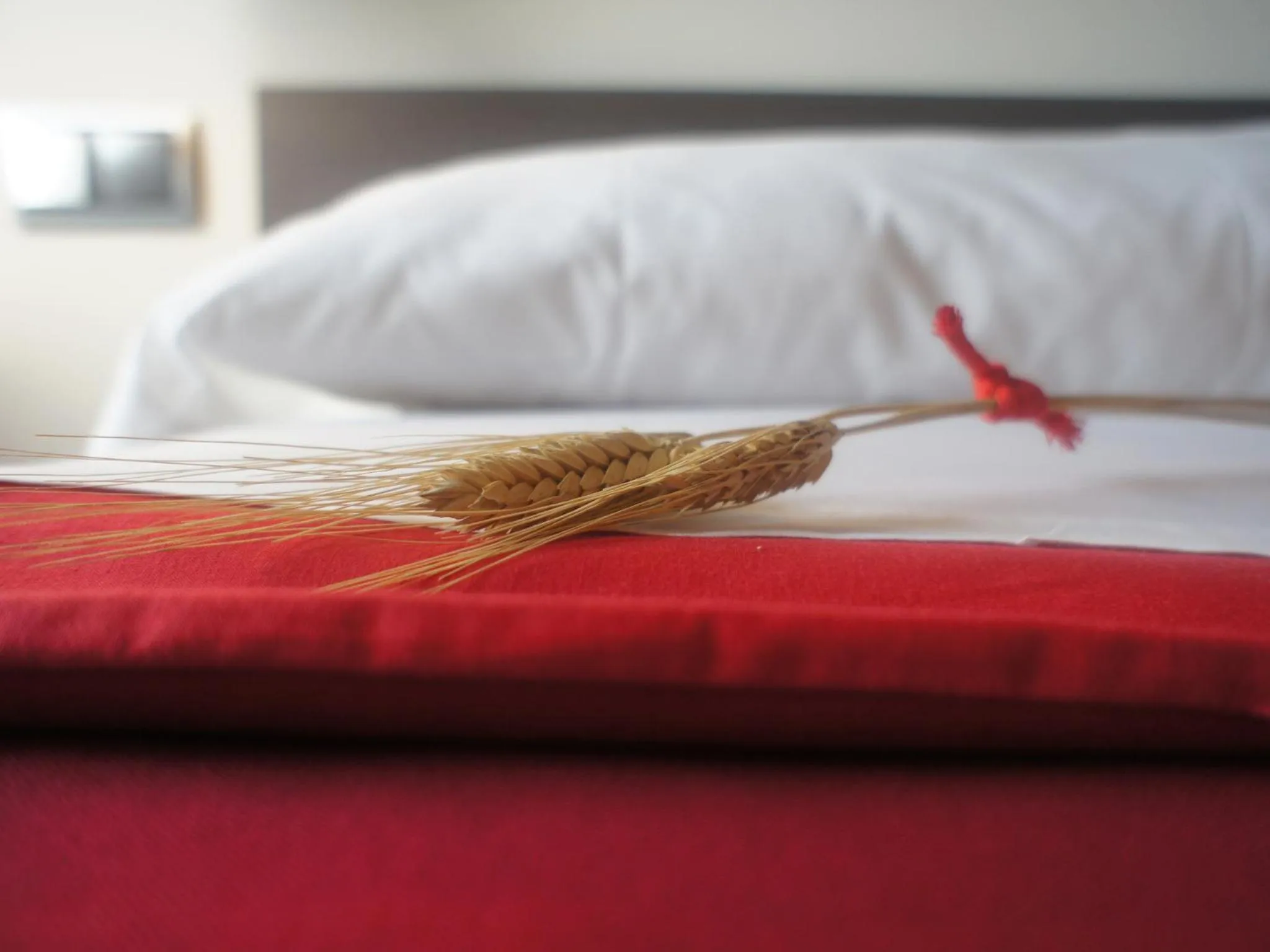 Bed in Seminari Allotjaments