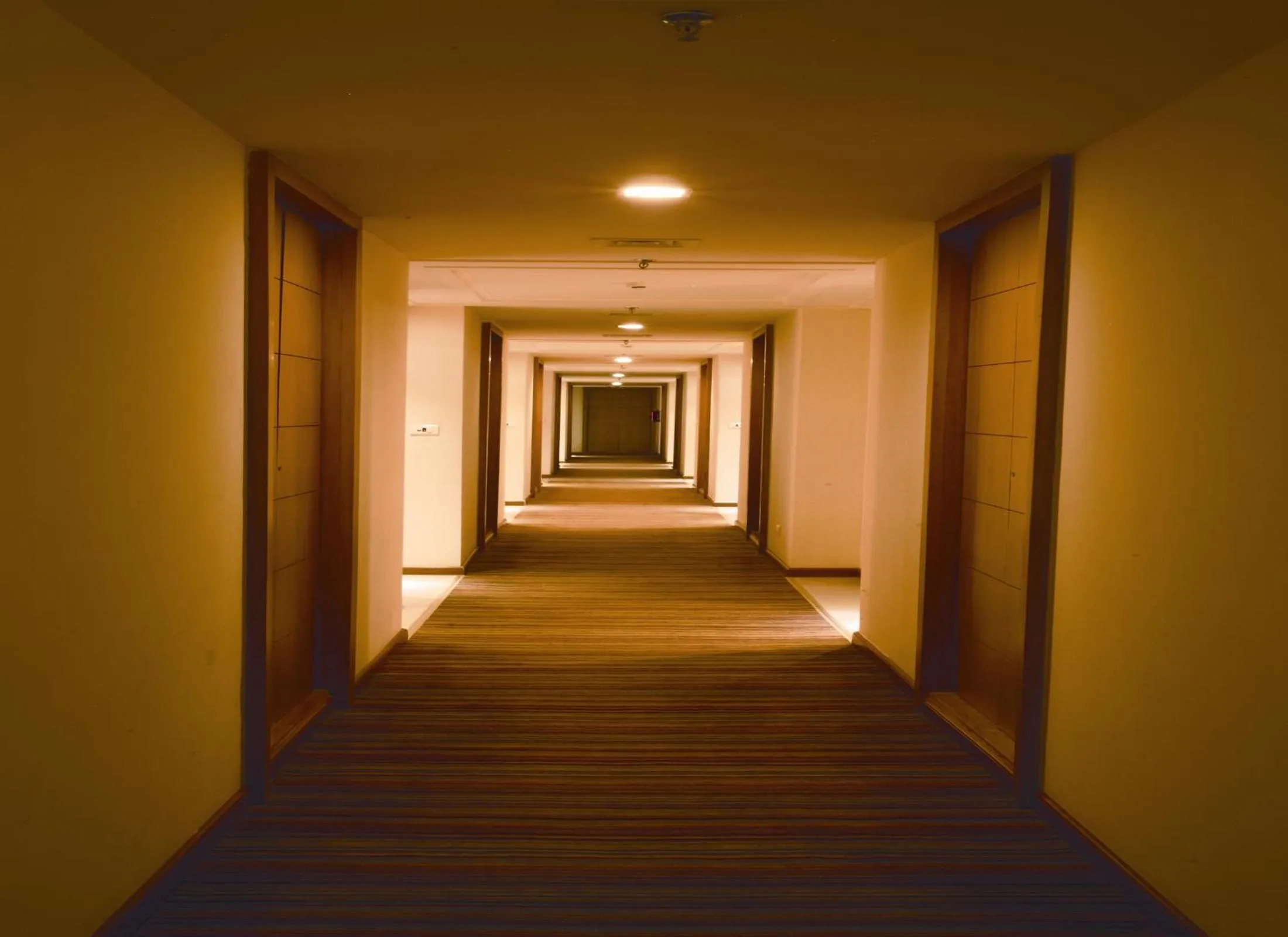 Patio in Ambrosia Sarovar Portico