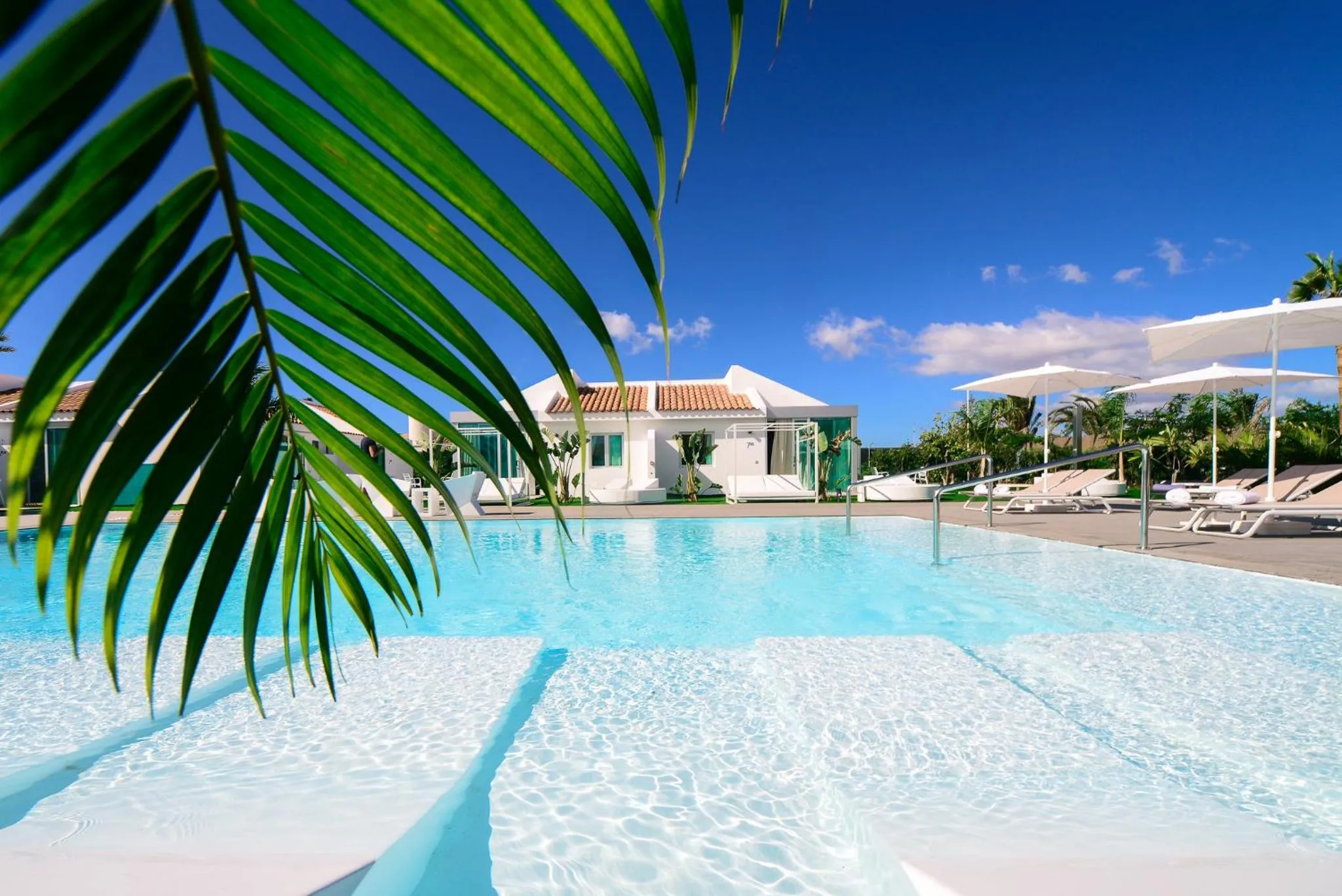 Swimming pool in Seven Hotel & Wellness - Gay Men Only