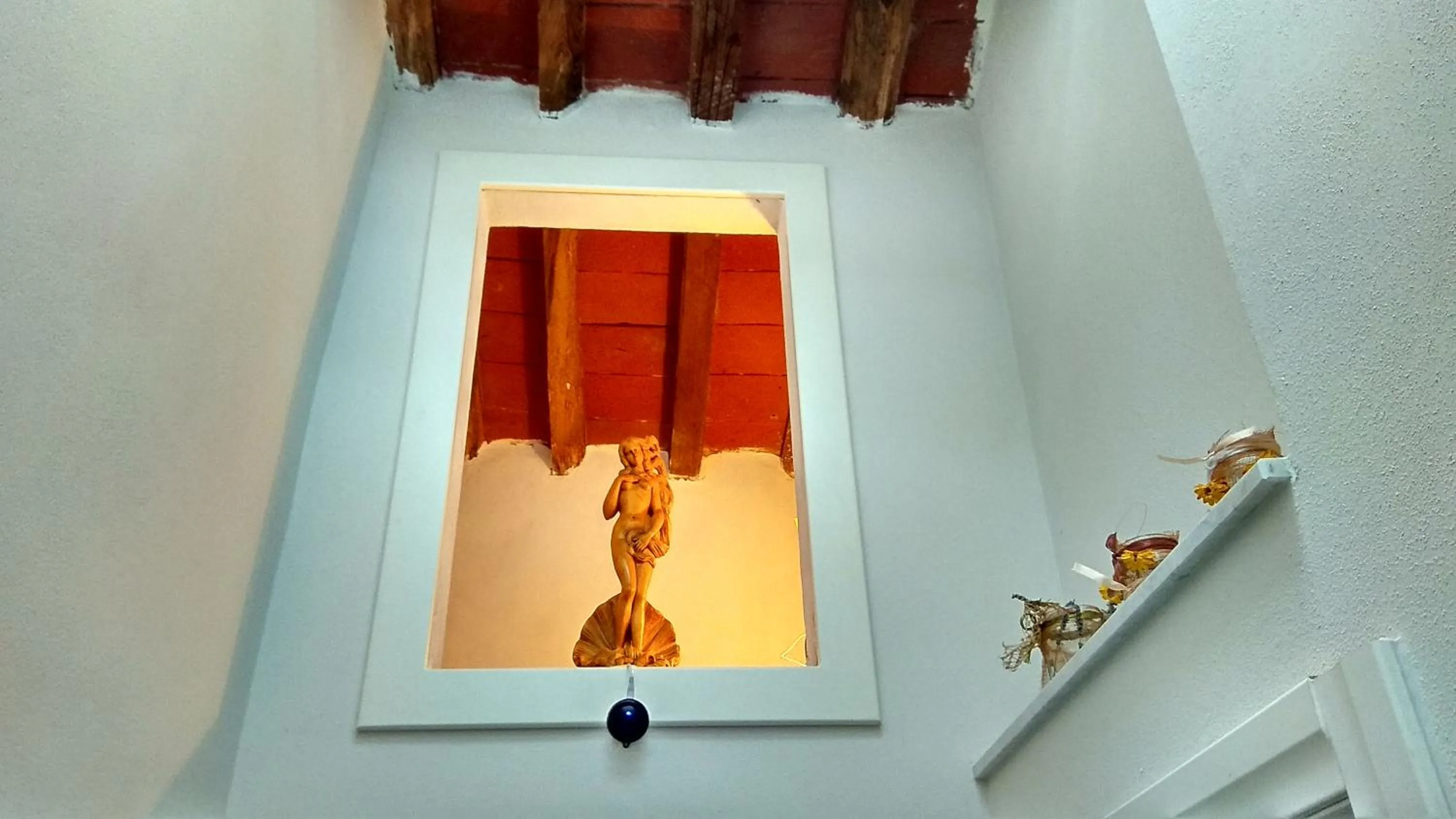 Le rondini di San Donato