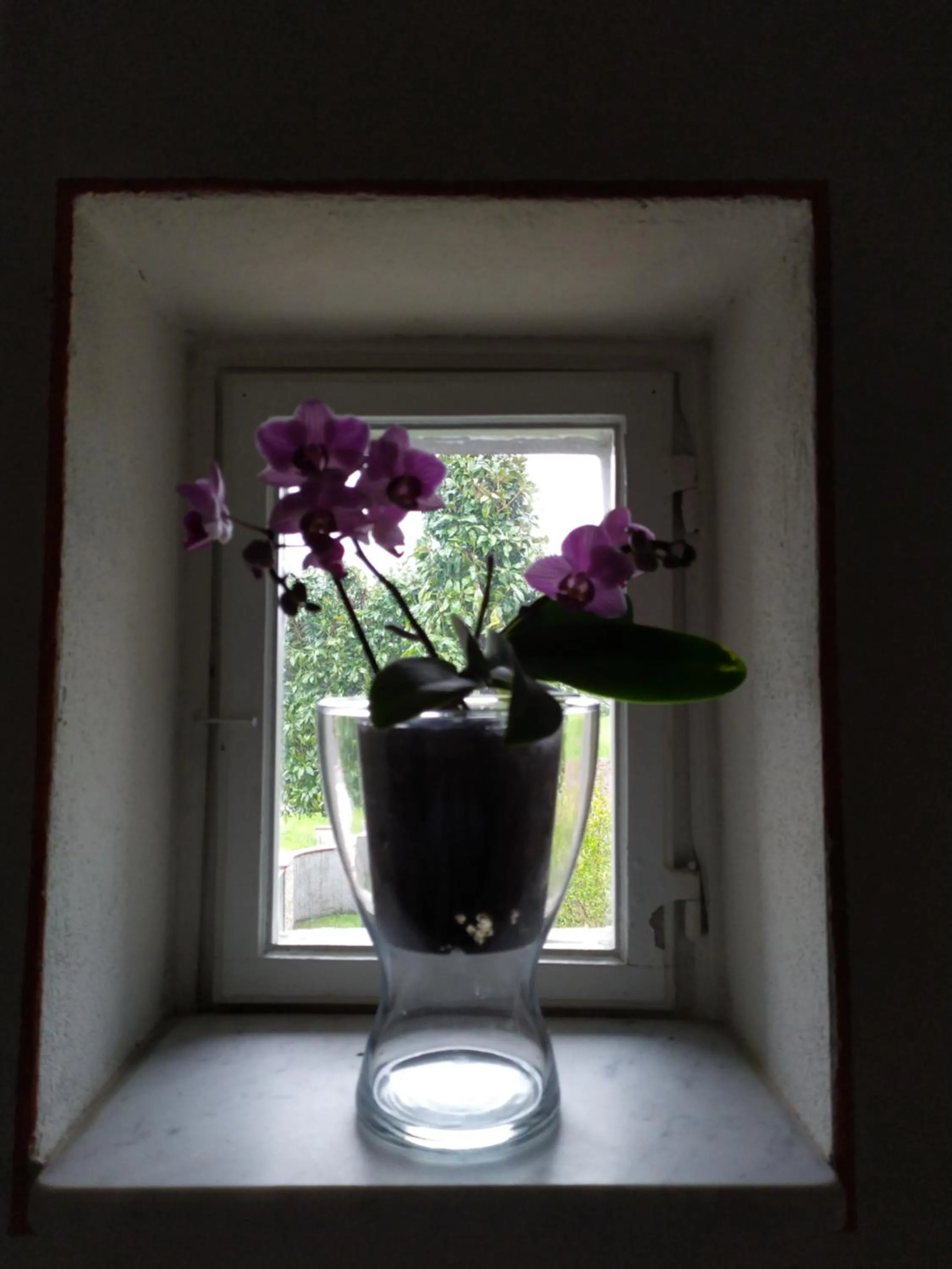 Le rondini di San Donato